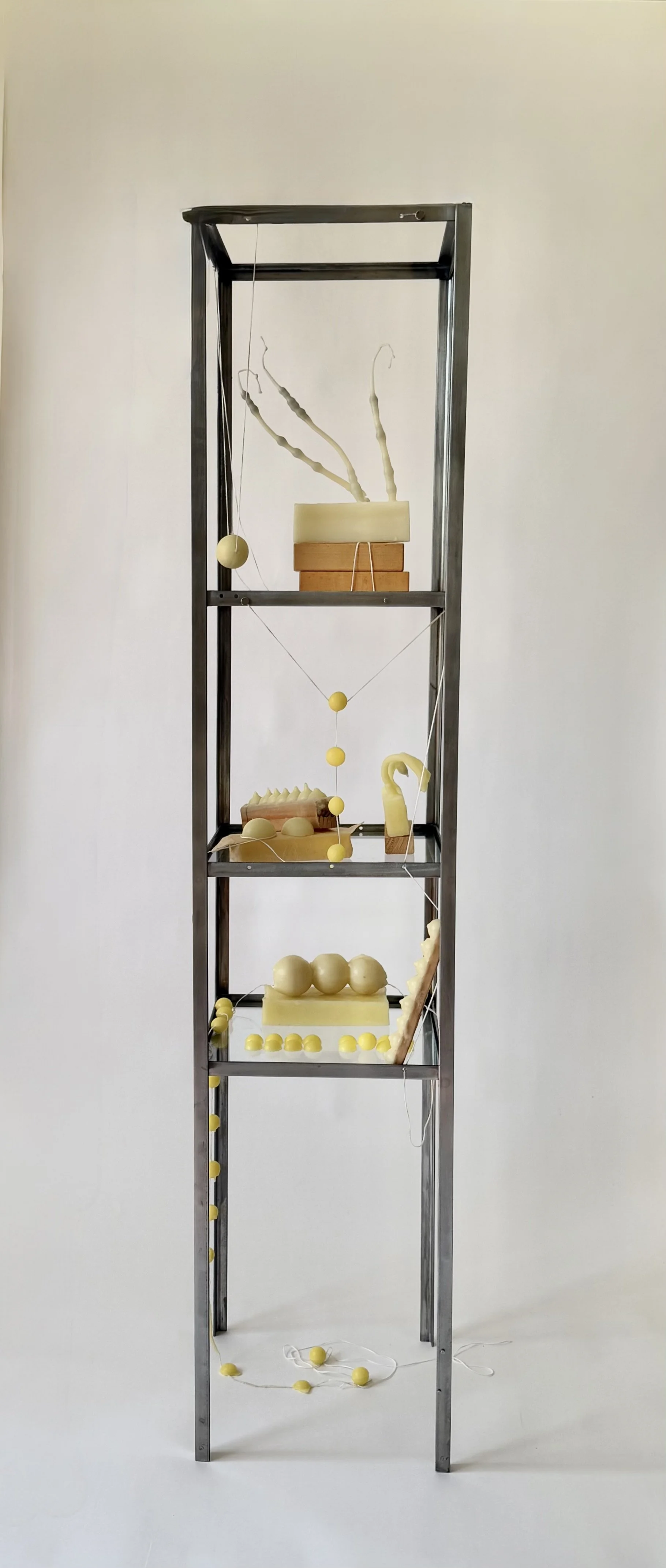 the body is an object (in formation), 2026

beeswax, fiber, wood, glass, steel
60x12x12 inches