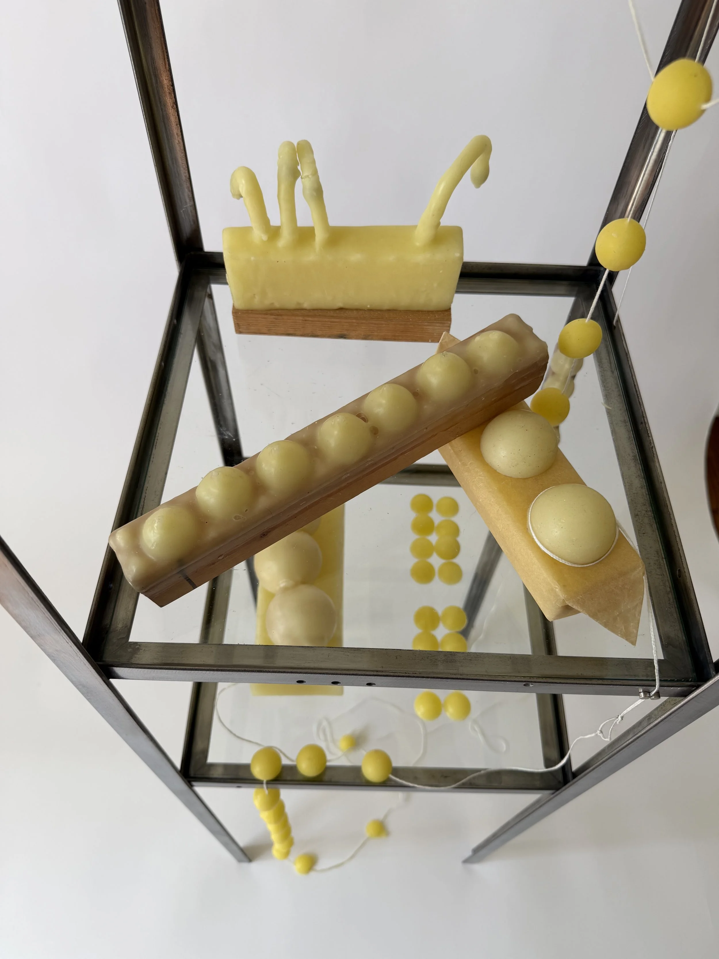 the body is an object (in formation), 2026

beeswax, fiber, wood, glass, steel
60x12x12 inches