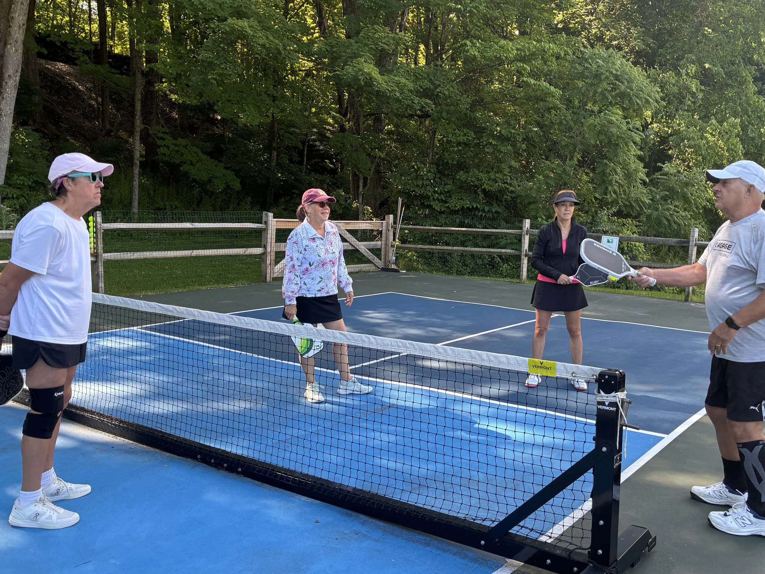 Advanced Pickleball Clinic