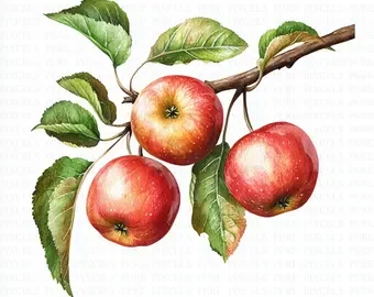 Community Coffee Hour &amp; Apple Desserts!