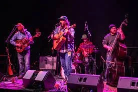 Musical Acts and Open Mic Night