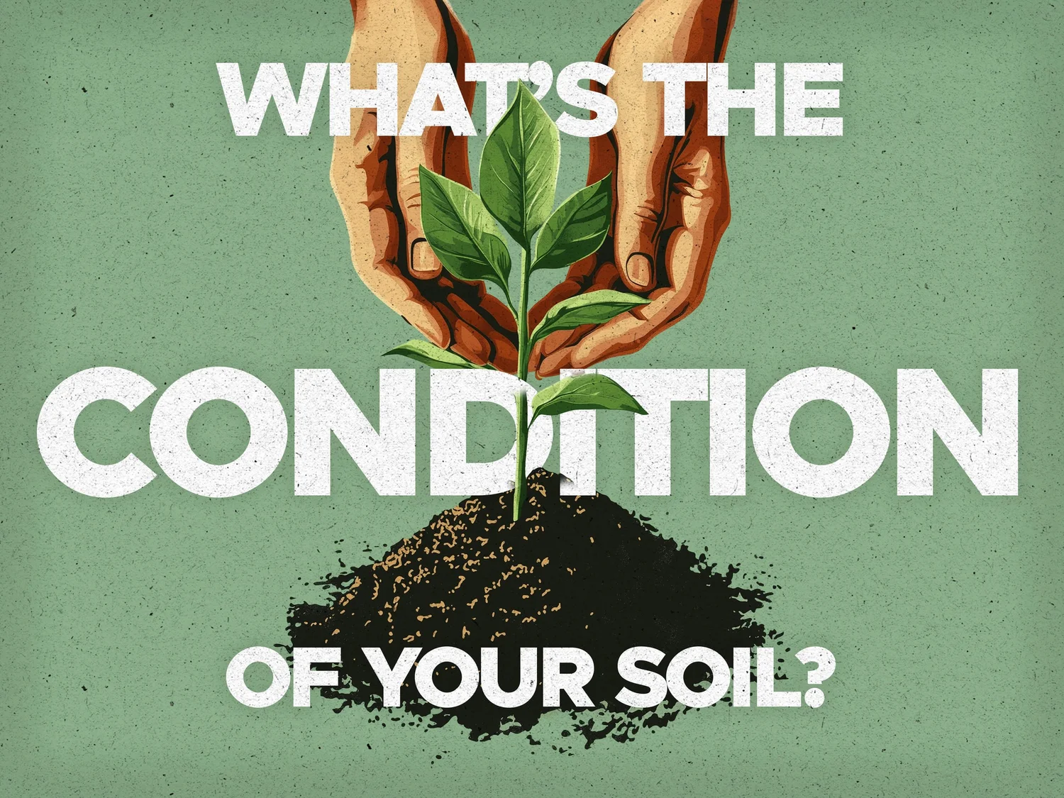 What’s the Condition of Your Soil? episode artwork