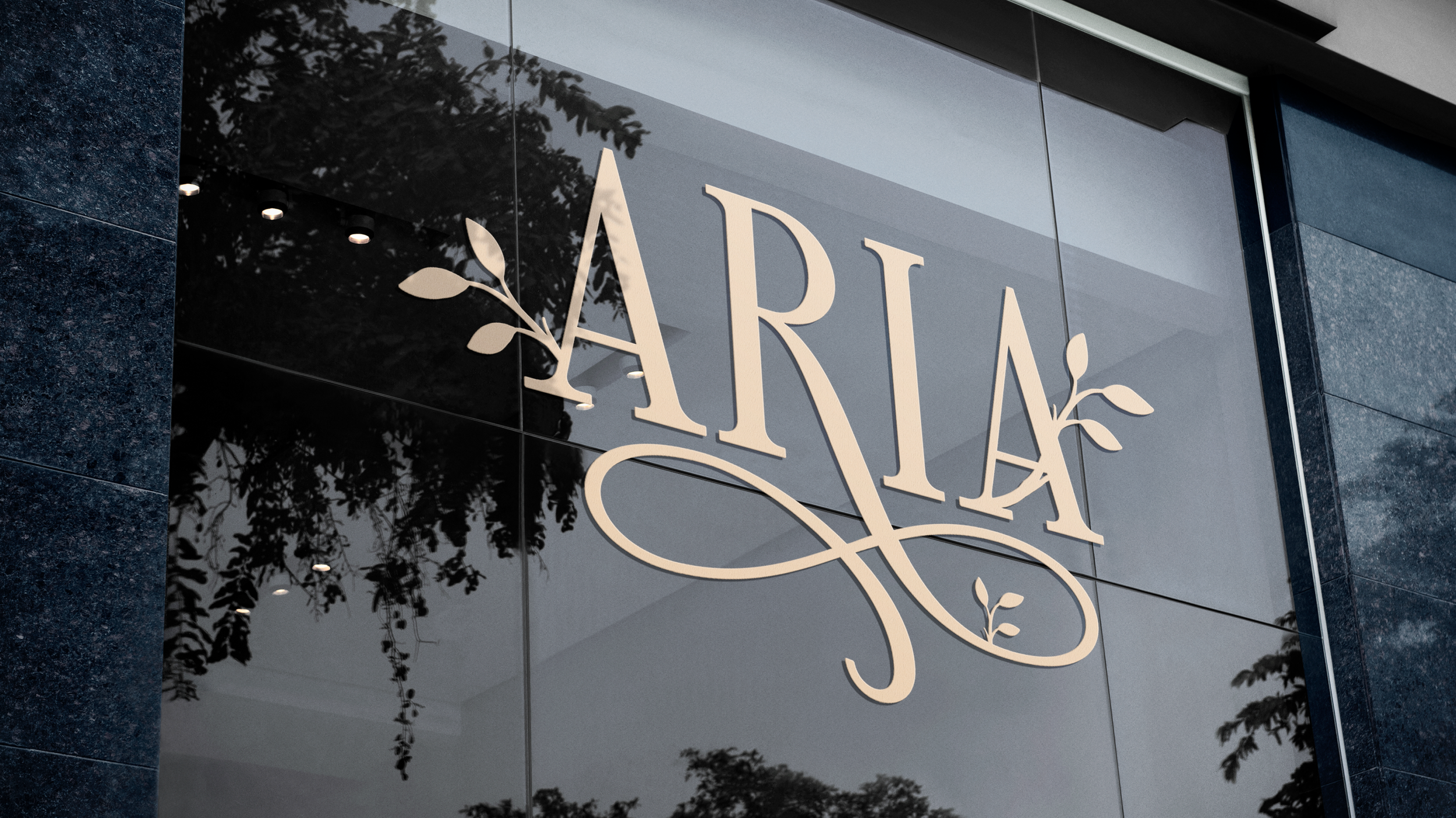 Aria_1.png