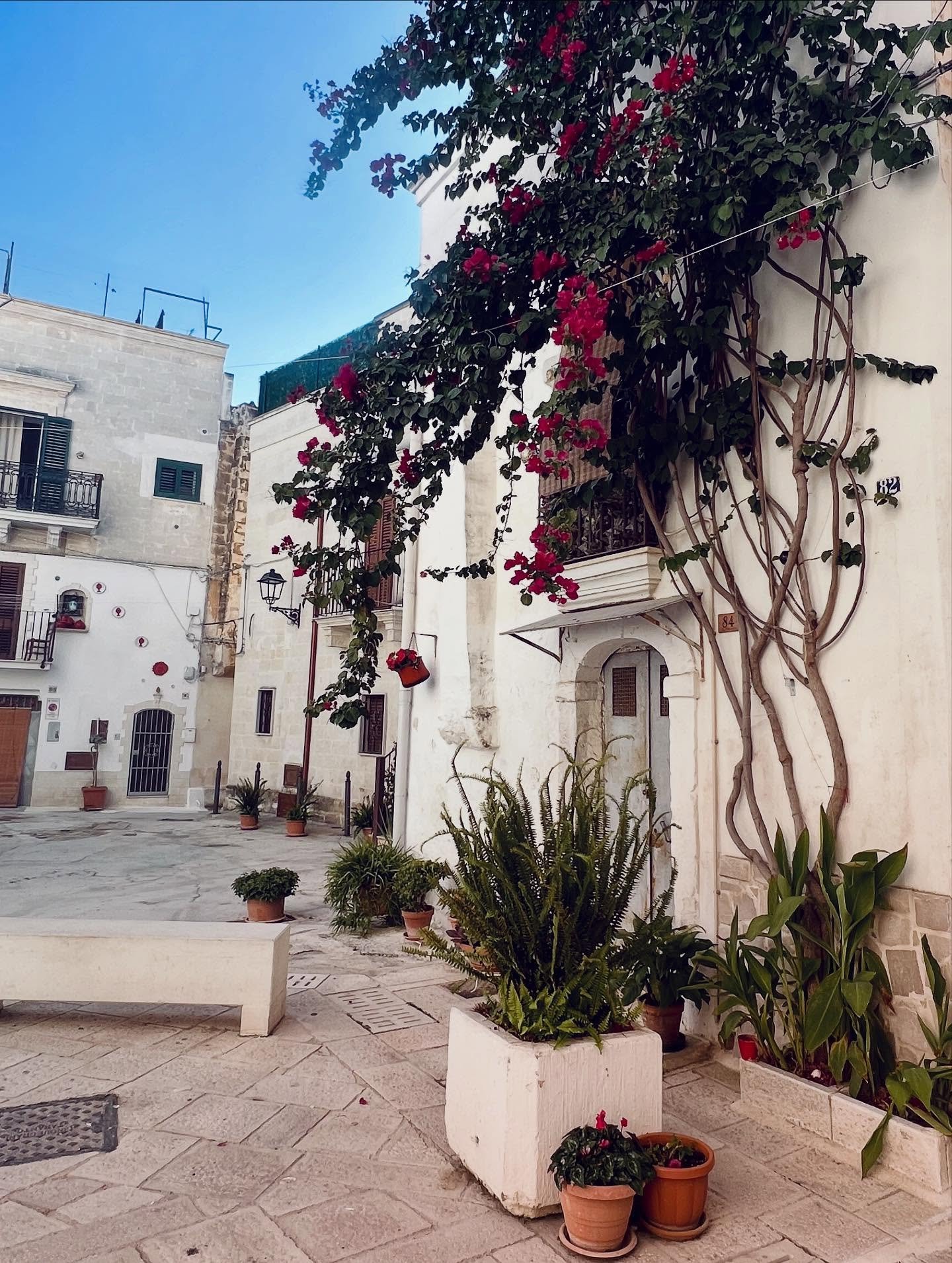 vignettes from Puglia