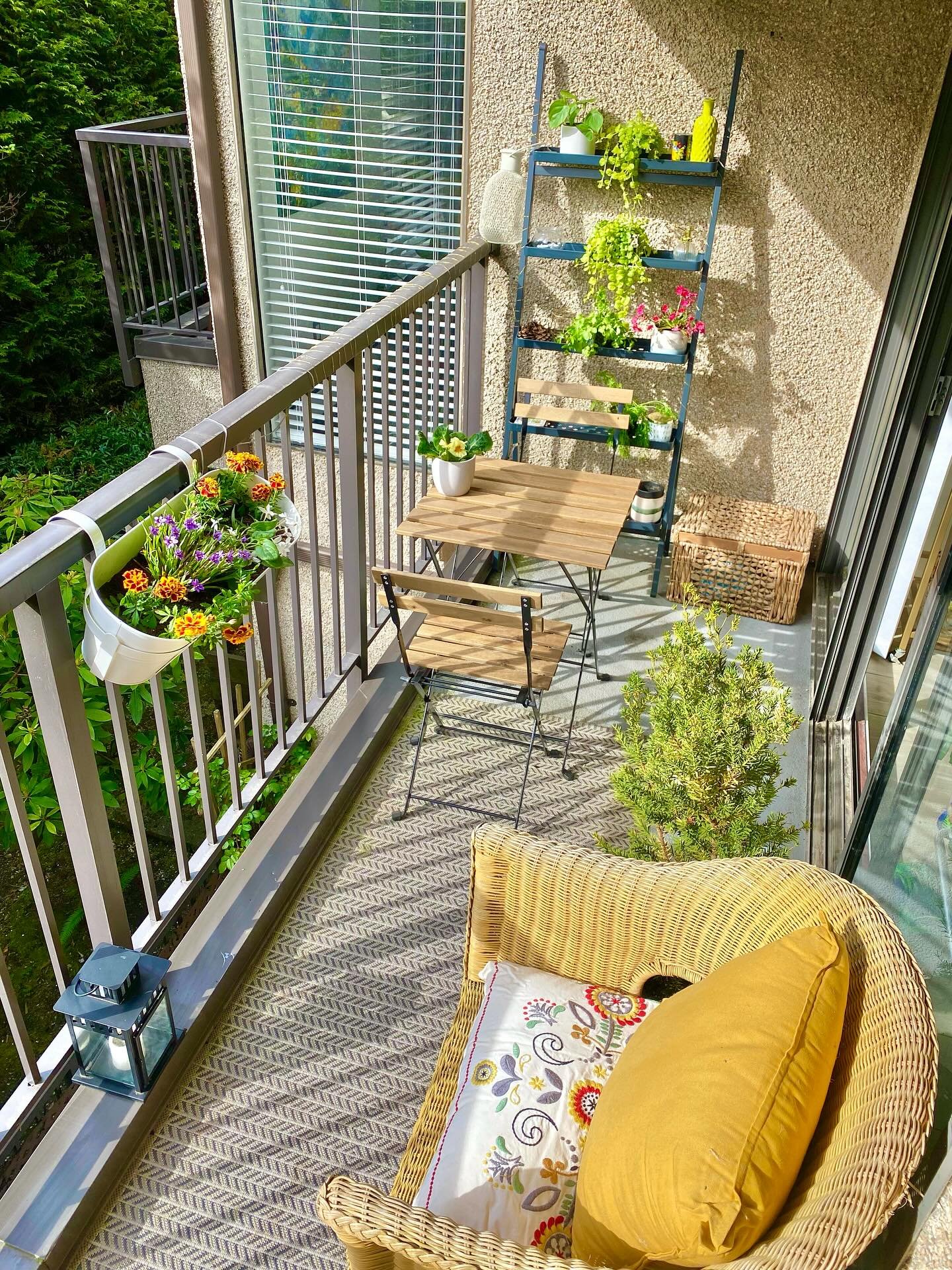 cute and cozy 🪴☀️