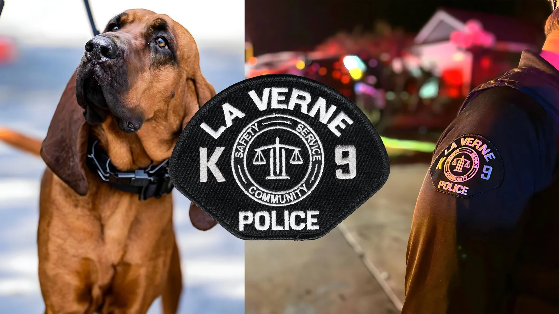 Portfolio_LVPD_K9.jpg