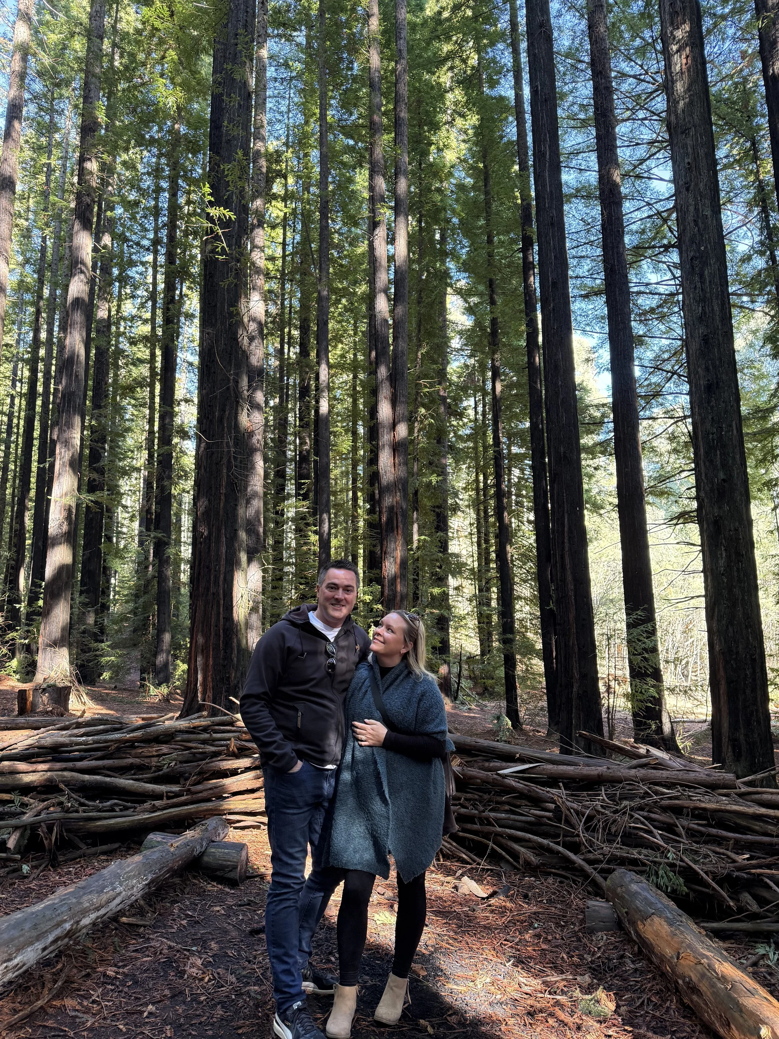 Wander Into Wonder: Discover the Magic Forest in Stanley