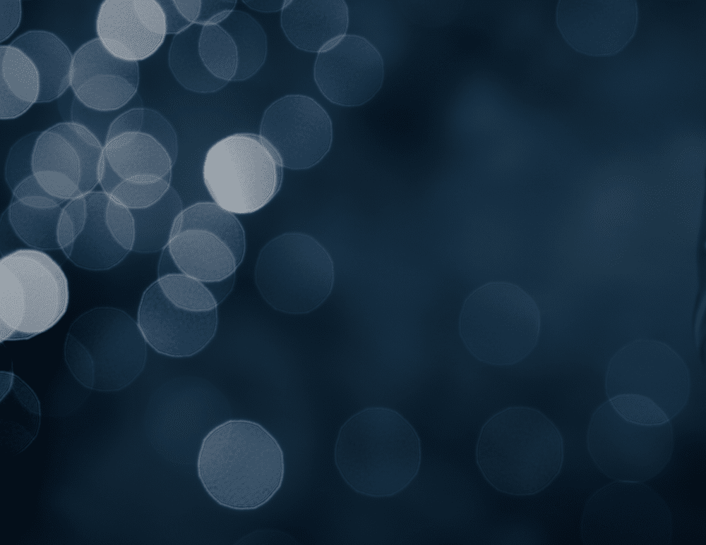 Blue Line Security Solutions LLC