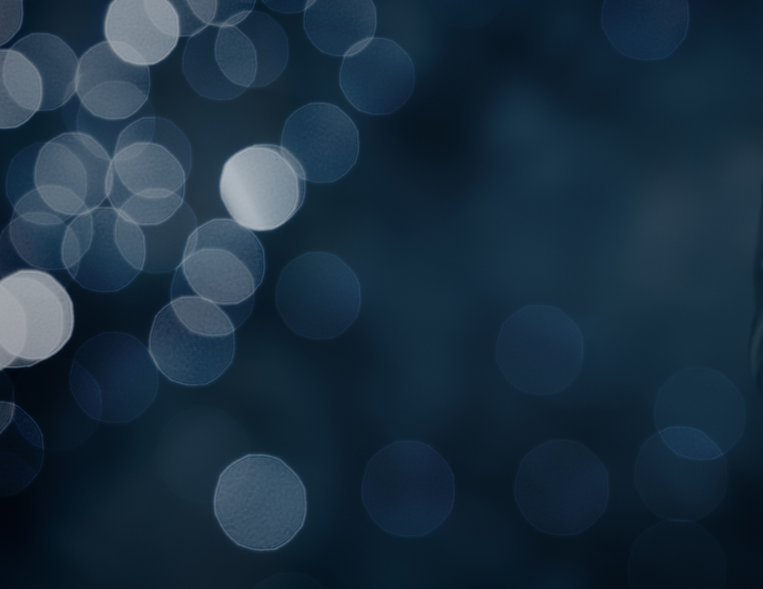 Blue Line Security Solutions LLC