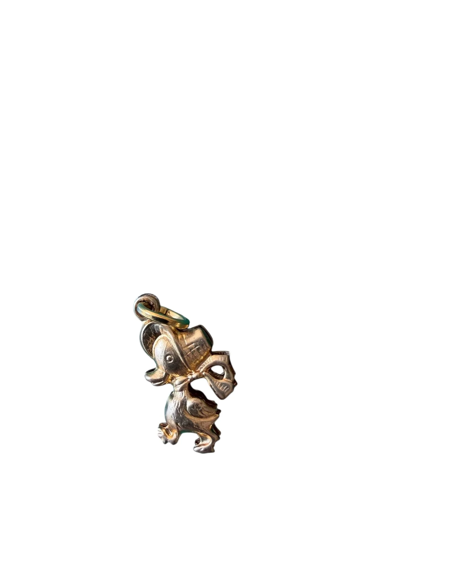 Cute Duck Charm (3).jpeg