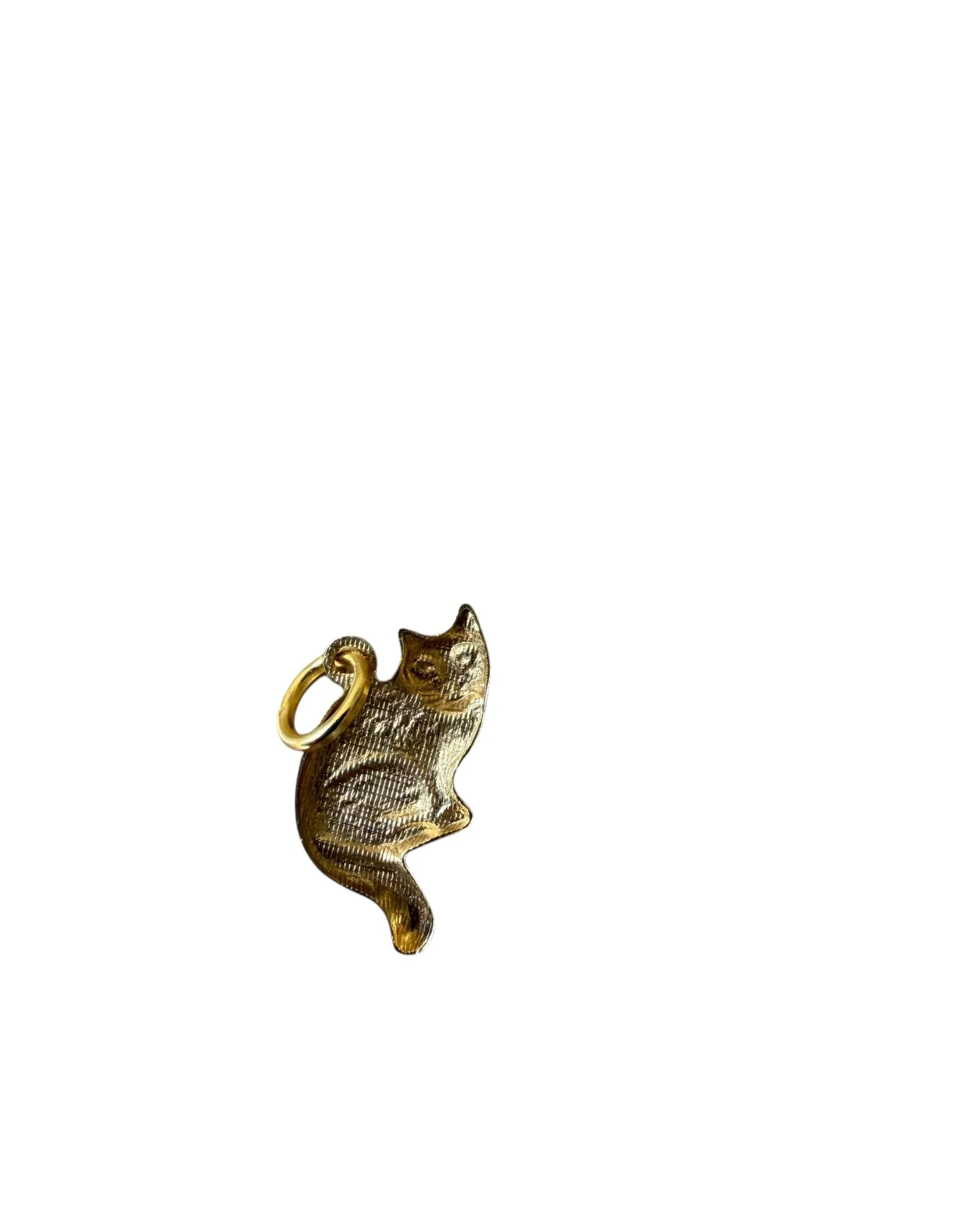 Cat Charm (3).jpeg