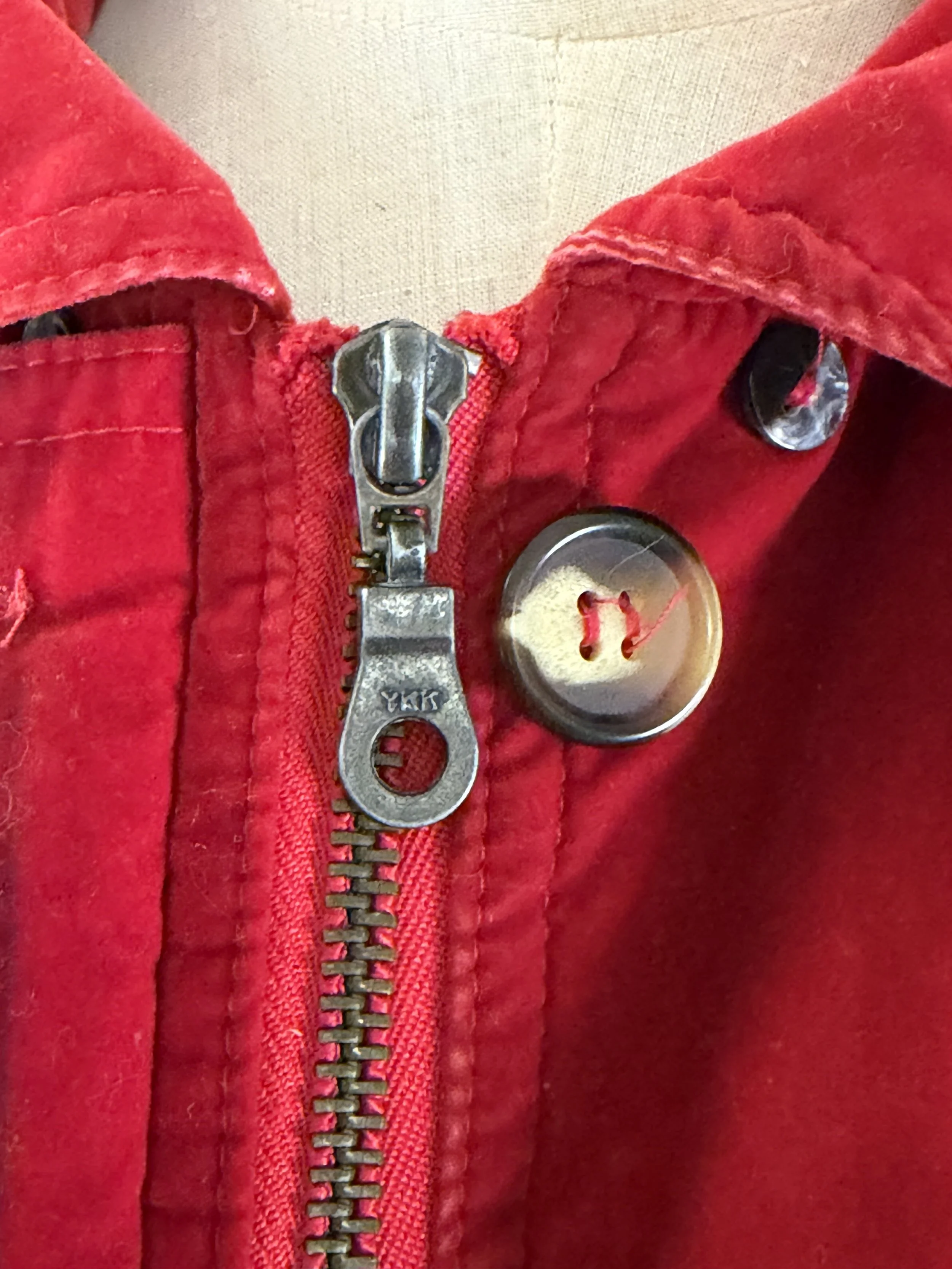 Starling Red Coat (1).jpeg