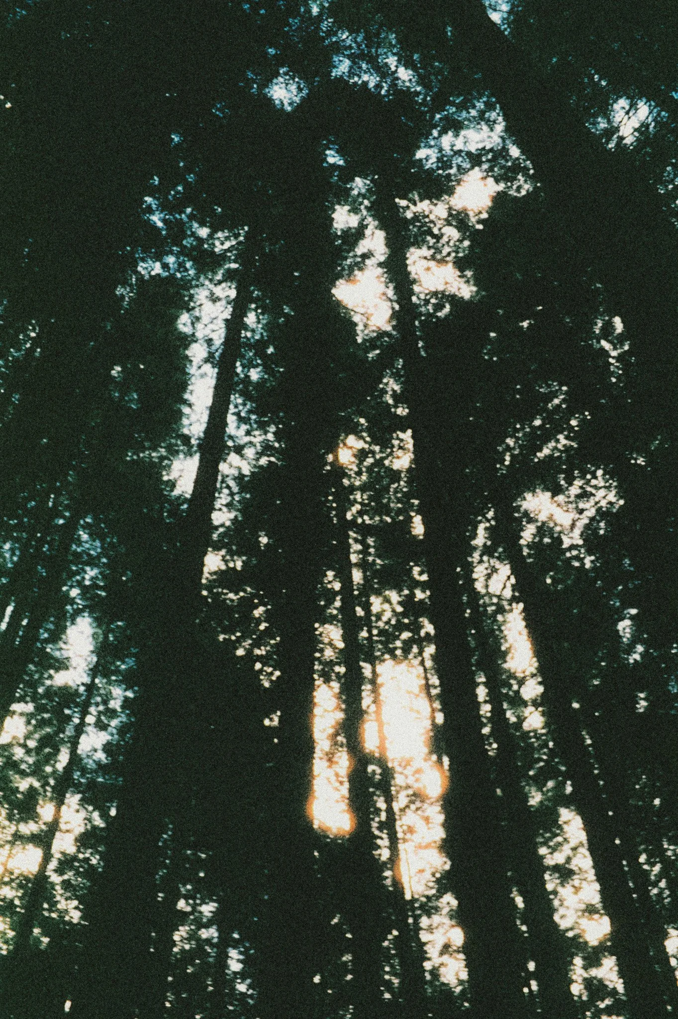 000050.JPG