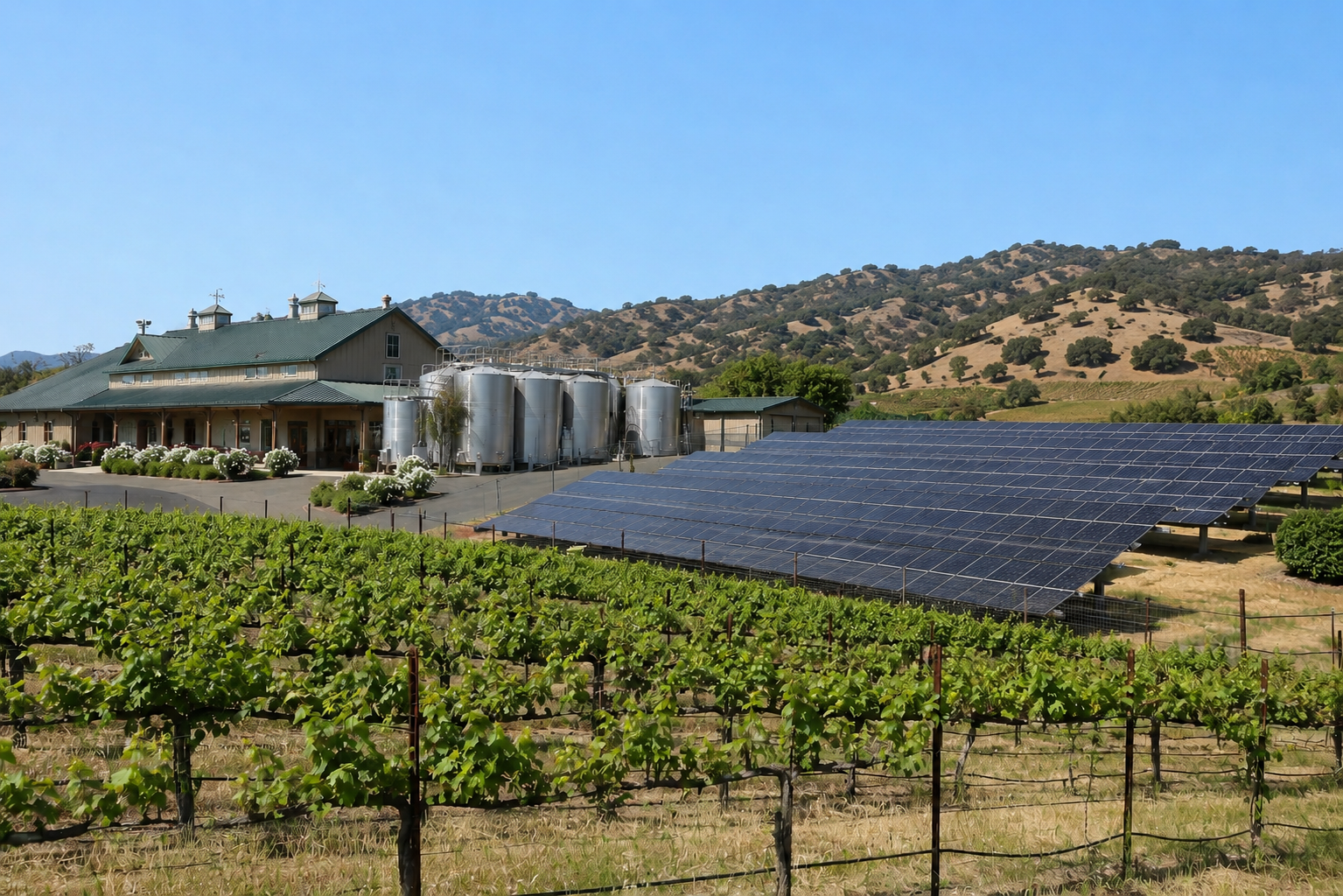 Flying Blind During a Winery Harvest Outage is a Grid-Dependency Problem
