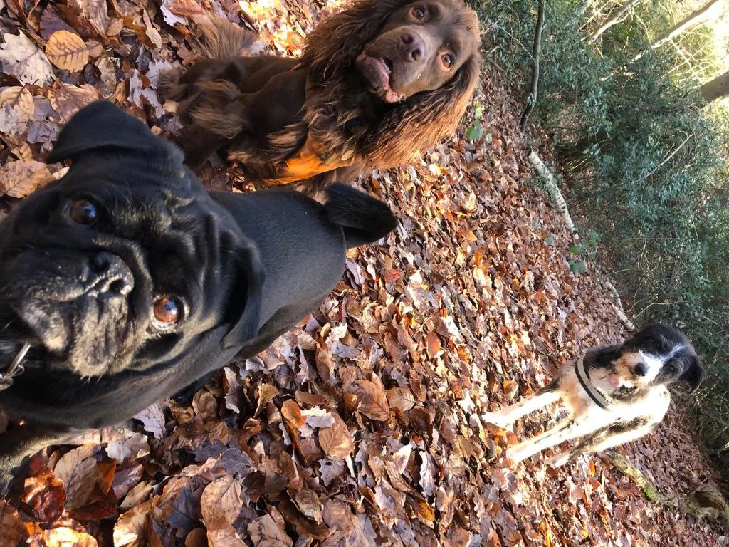 PHOTO-2024-01-16-14-46-58 3.jpg