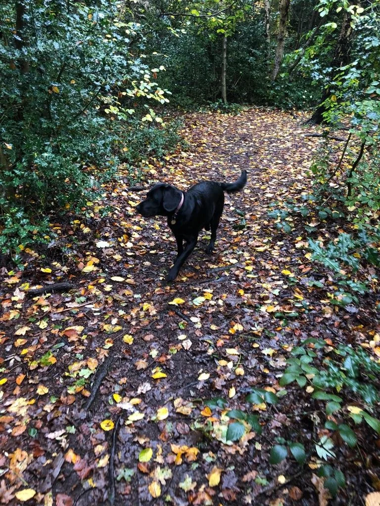 PHOTO-2023-11-08-14-01-50 2.jpg