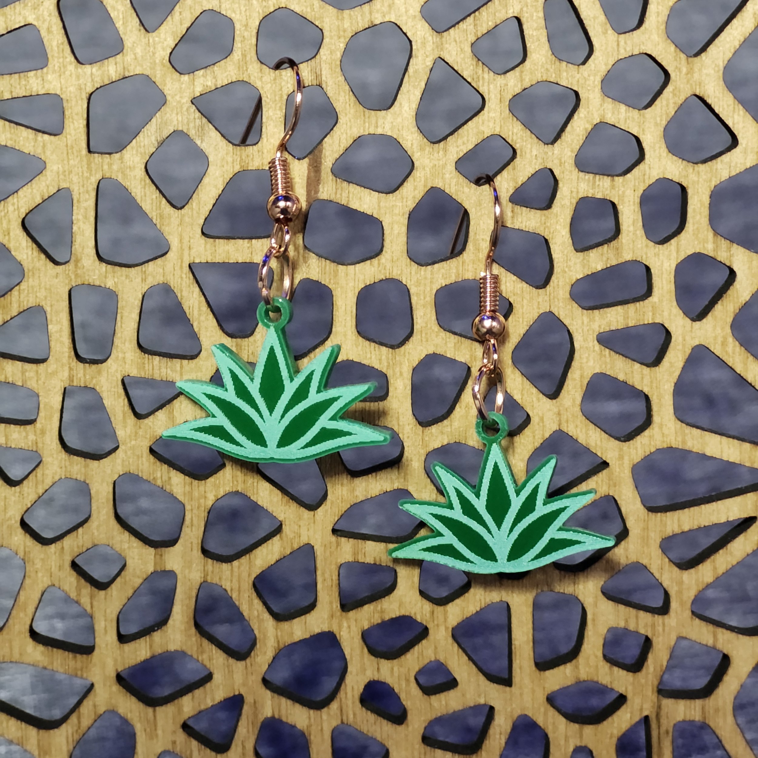 Agave Cactus