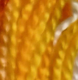 yellows.jpg