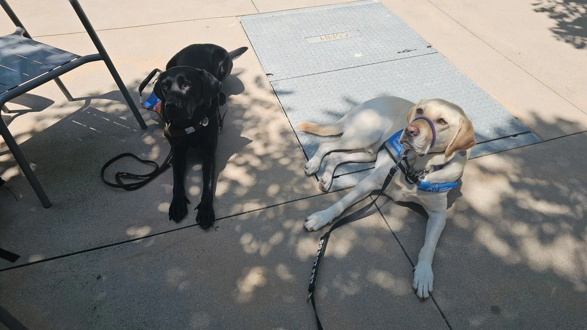 Eve and Sheldon laying together while on campus in their working gear.