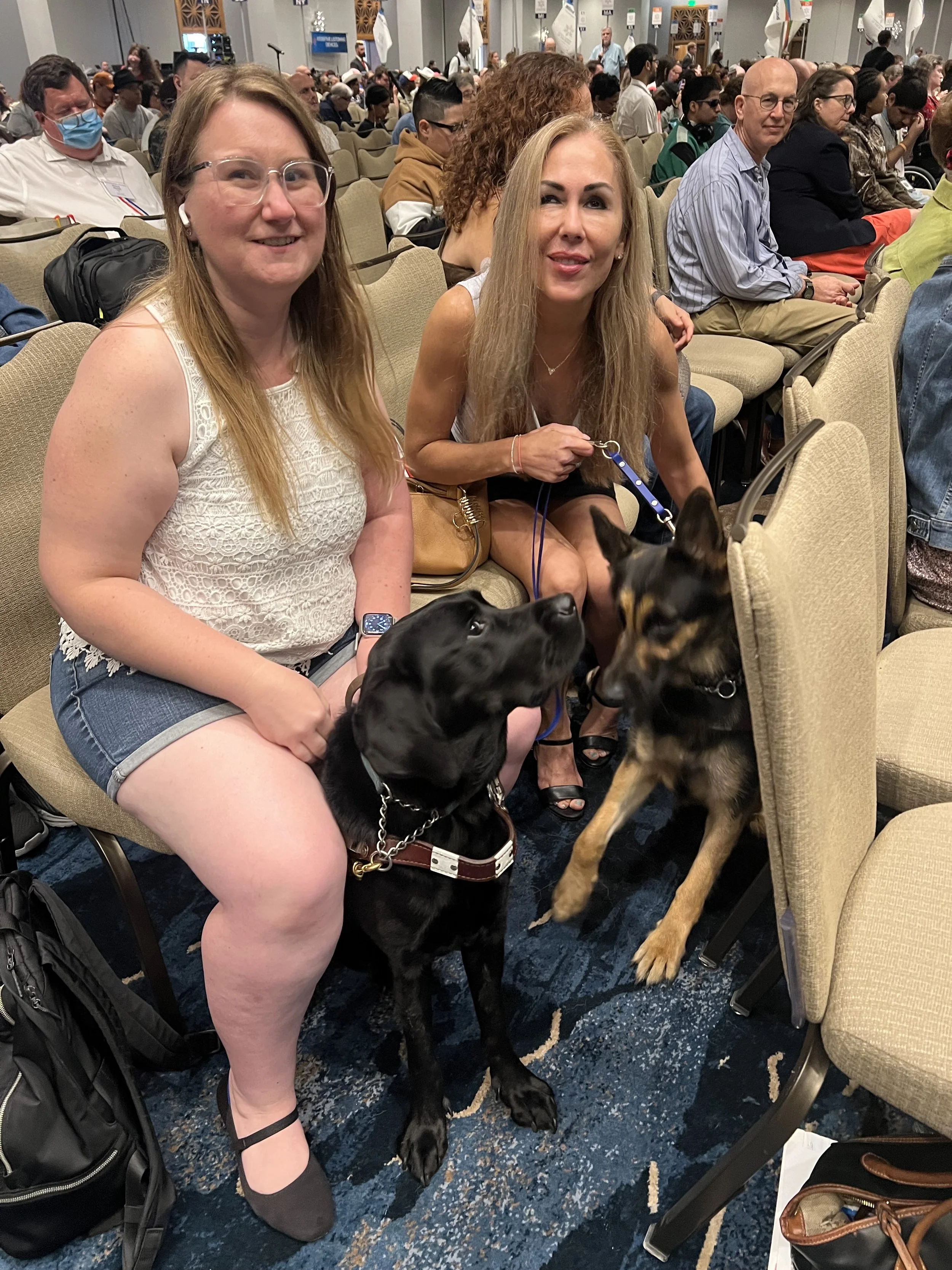 Lindsay and Irma sitting together with their guide dogs at their feet. Eve and Wonder are looking at one another, but calmly working alongside one another.