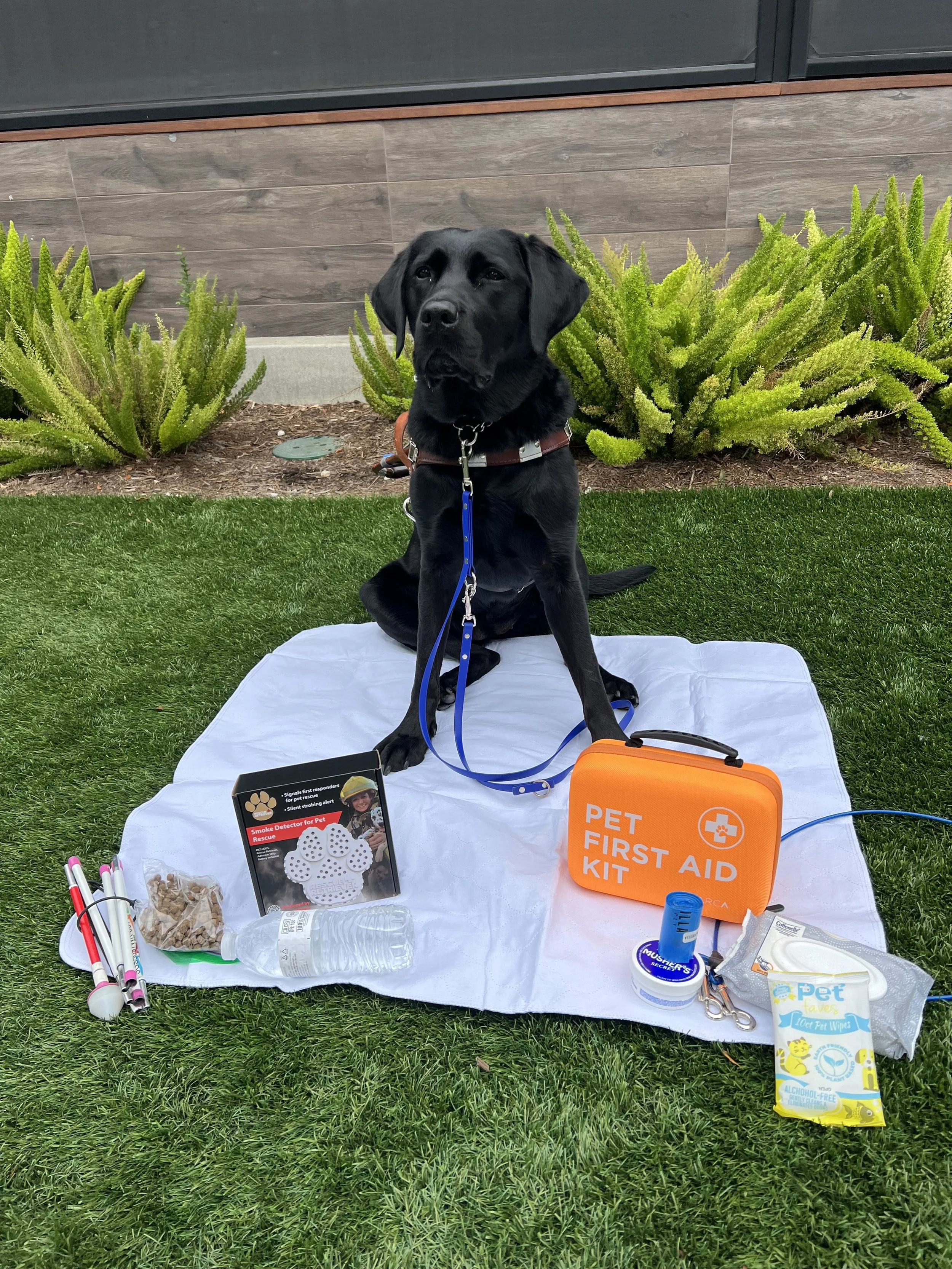 Emergency preparedness