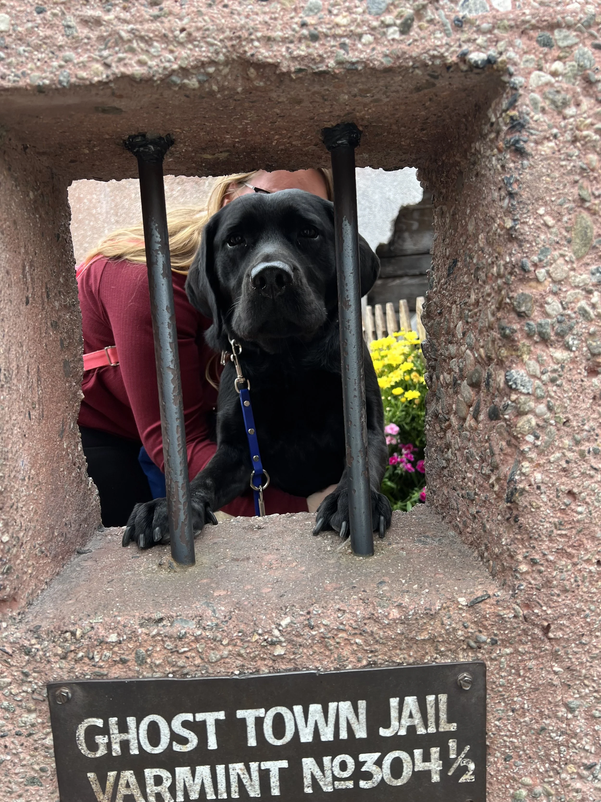 Eve in the Ghost Town Jail at Knots Berry Farm
