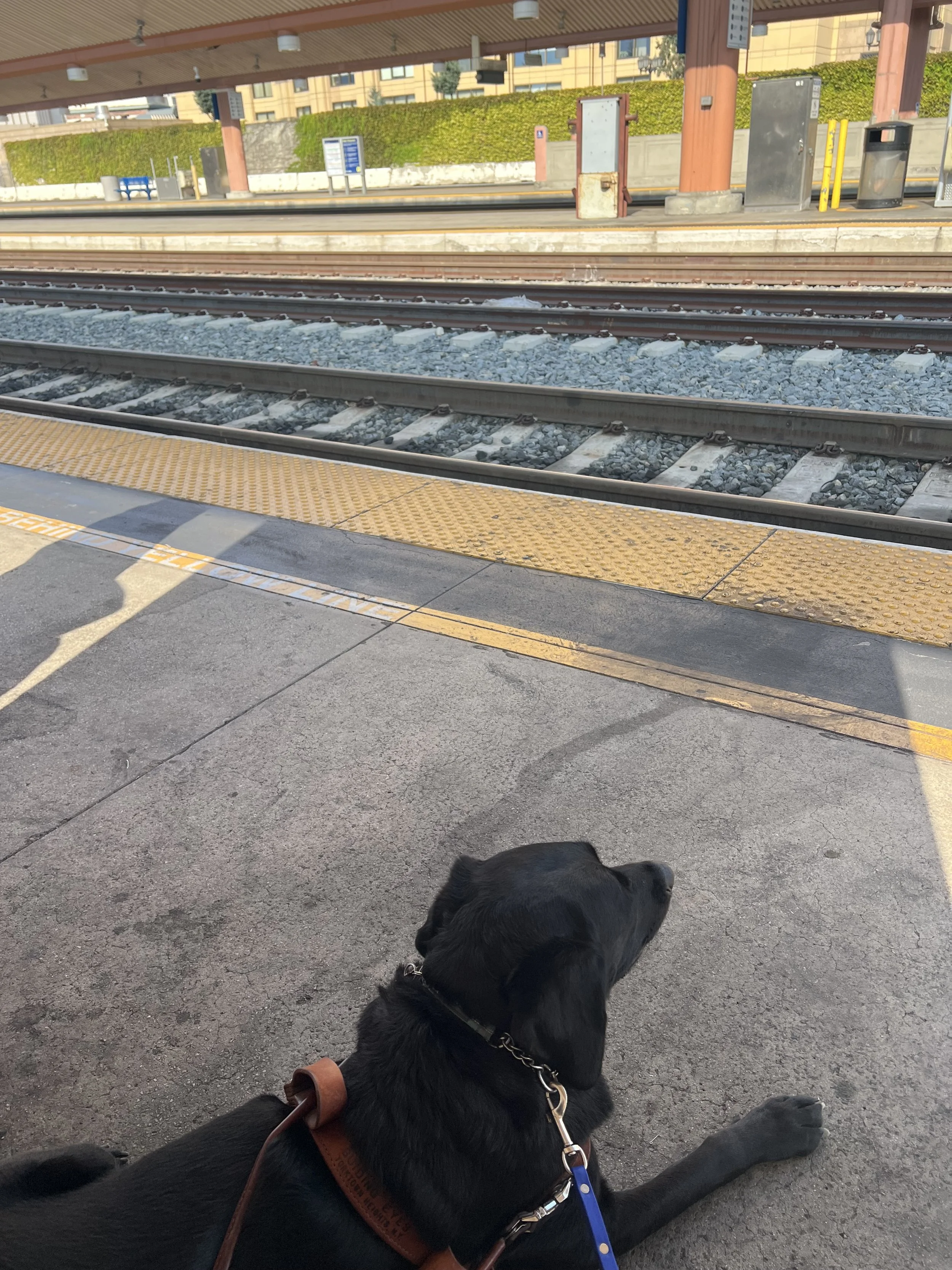 Eve laying on a train platform at Los Angas Union Station.