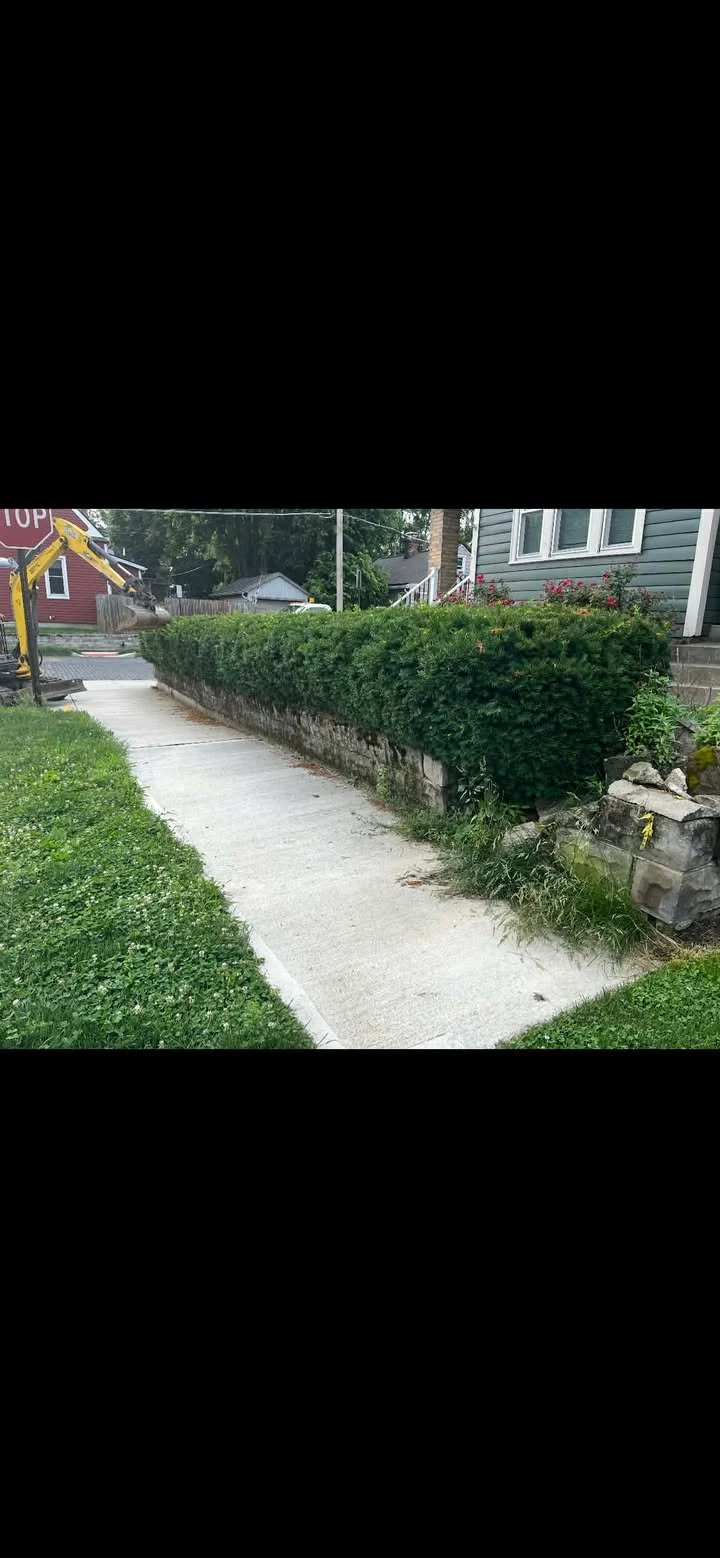 Sidewalk with trimmed hedge on a stone wall, grass on the side, house with steps behind, construction equipment at street corner.