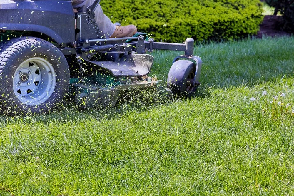 Lawn mower cutting grass outdoors on a sunny day.
