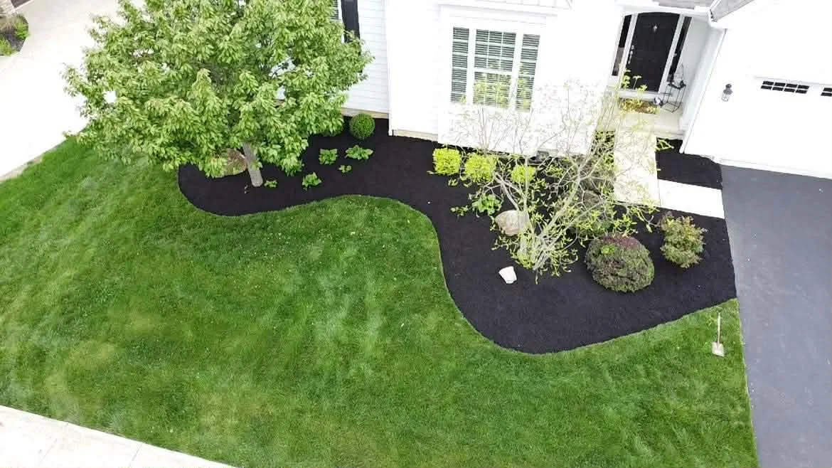 A front yard with green grass, two trees, and black mulch surrounding the plants and house entrance.