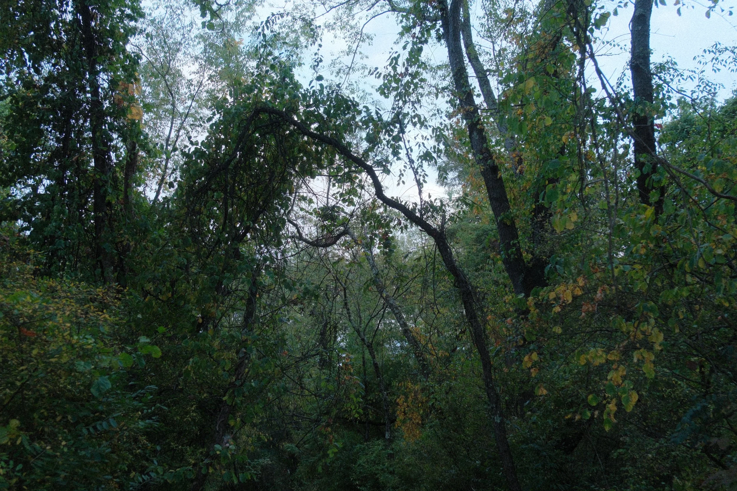 DSCF5133.JPG
