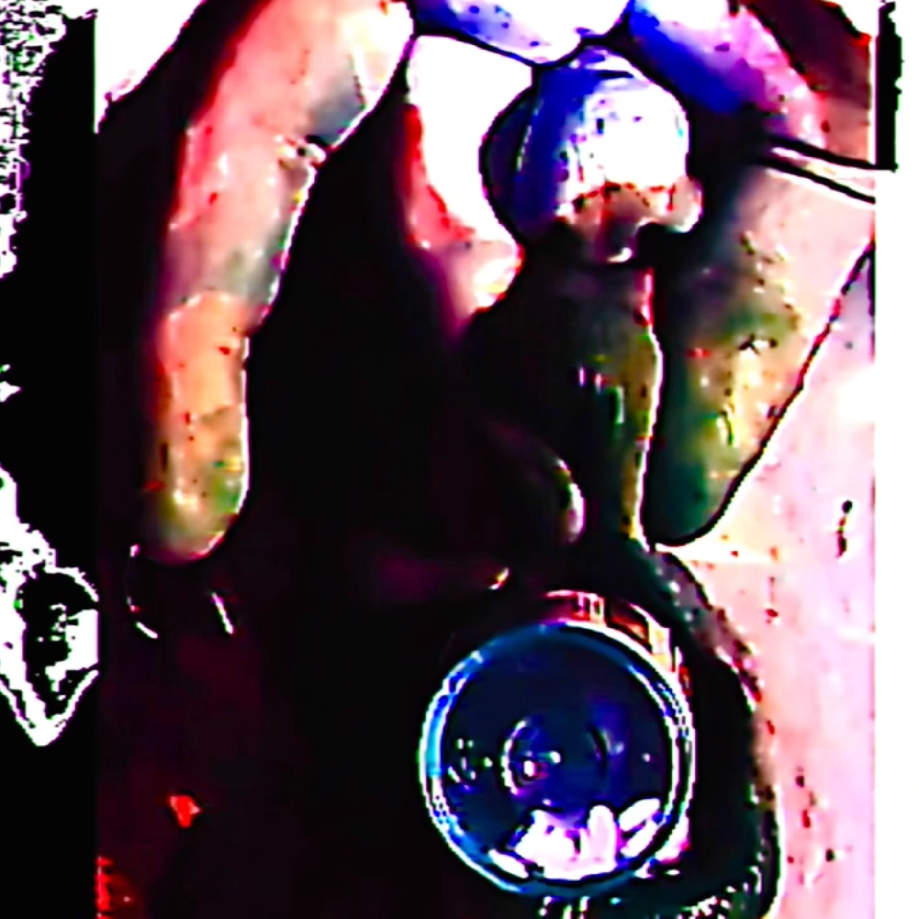 Eating Blood