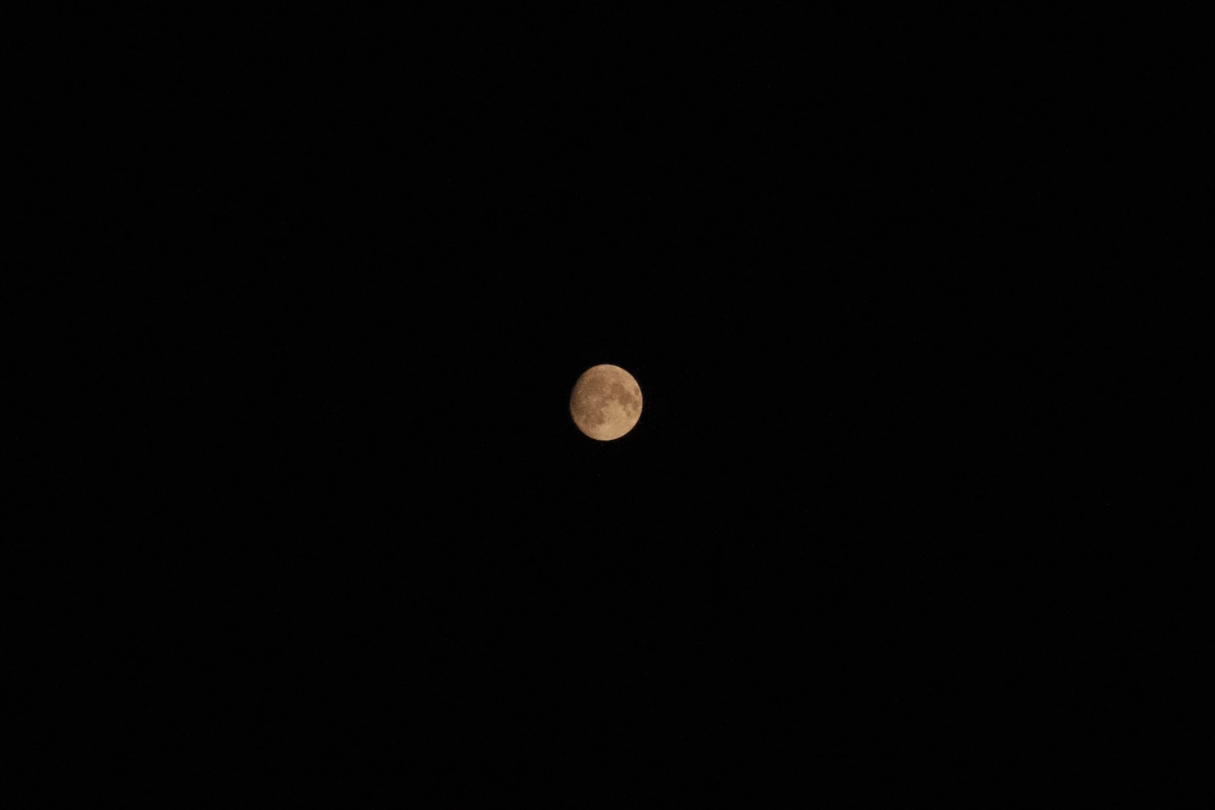 DSCF4134.JPG