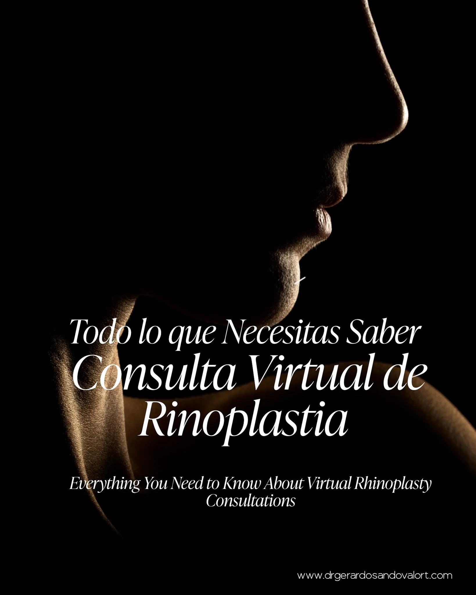 Consulta virtual de rinoplastia con el Dr. Luis Gerardo Sandoval, proceso detallado para una evaluación precisa y personalizada