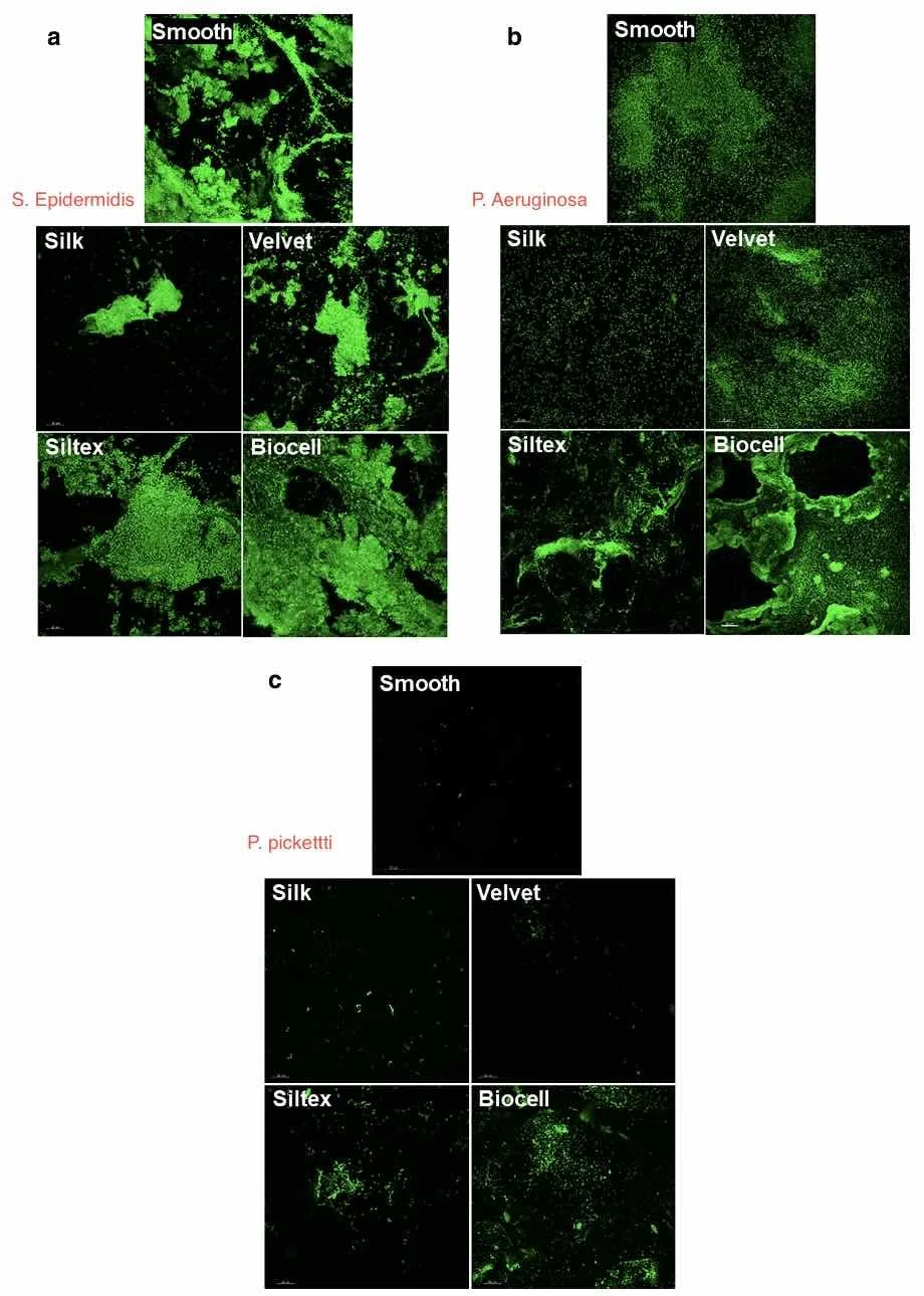 Análisis de biofilms formados en superficies de implantes mamarios. SmoothSilk y VelvetSurface Motiva® muestran mínima acumulación bacteriana. Imagen utilizada por el Dr. Luis Gerardo Sandoval con fines educativos.
