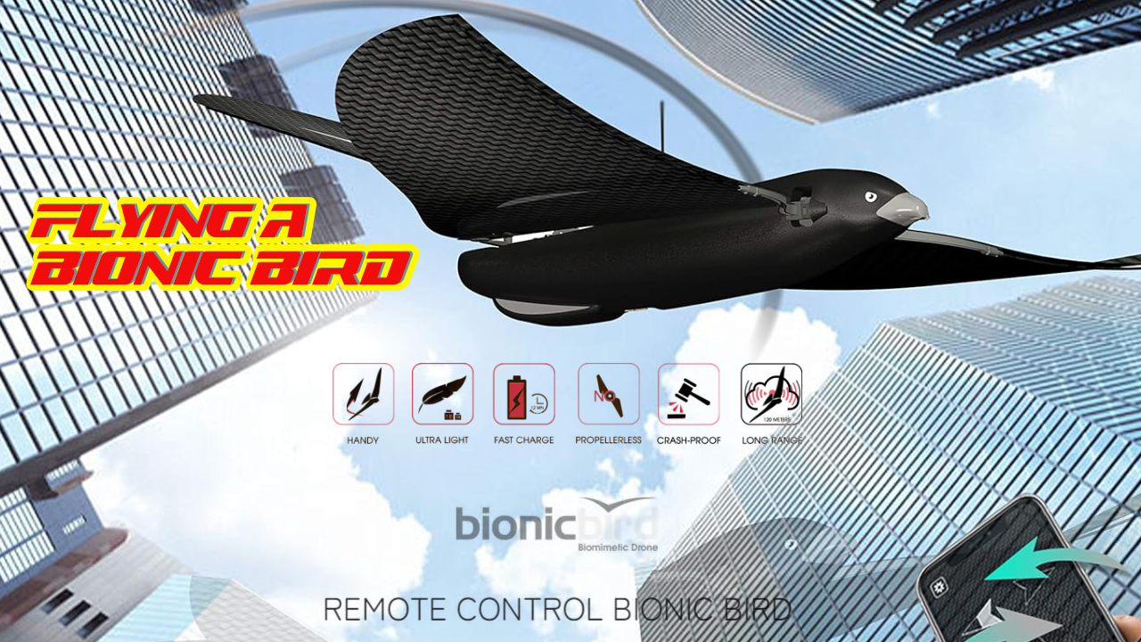 Flying a bionic Bird