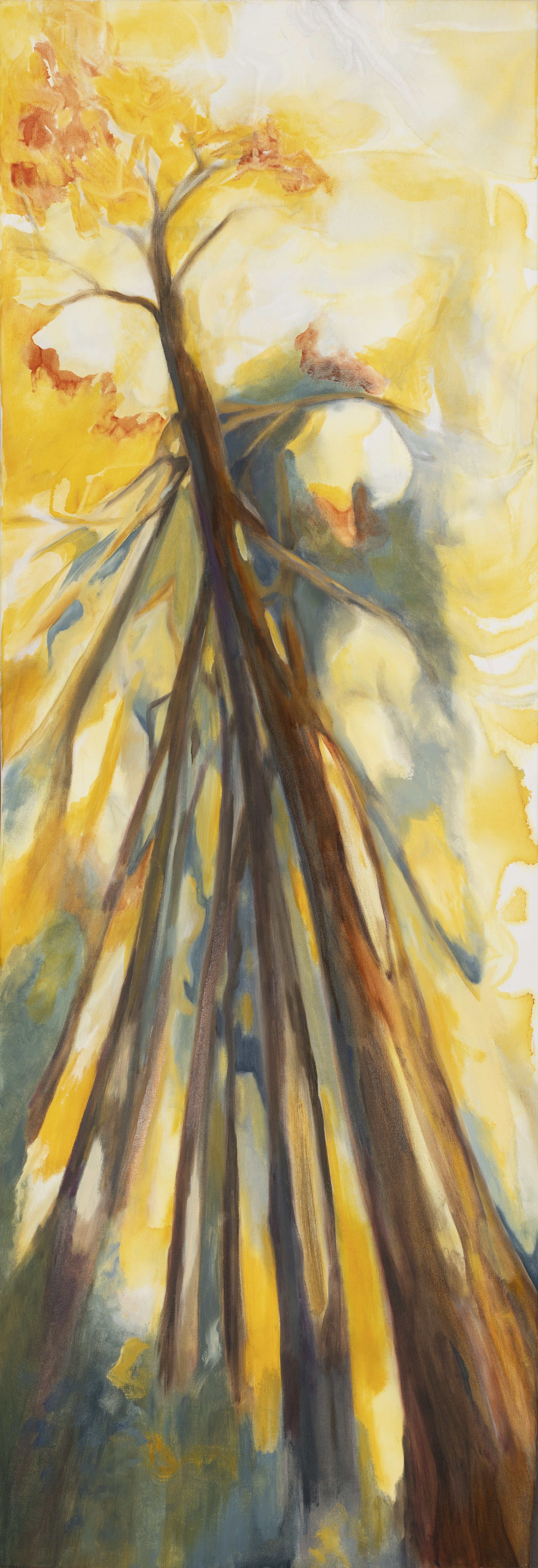 A Web of Sunny Air painting by Eleanor Hall, Calleen Art Award finalist