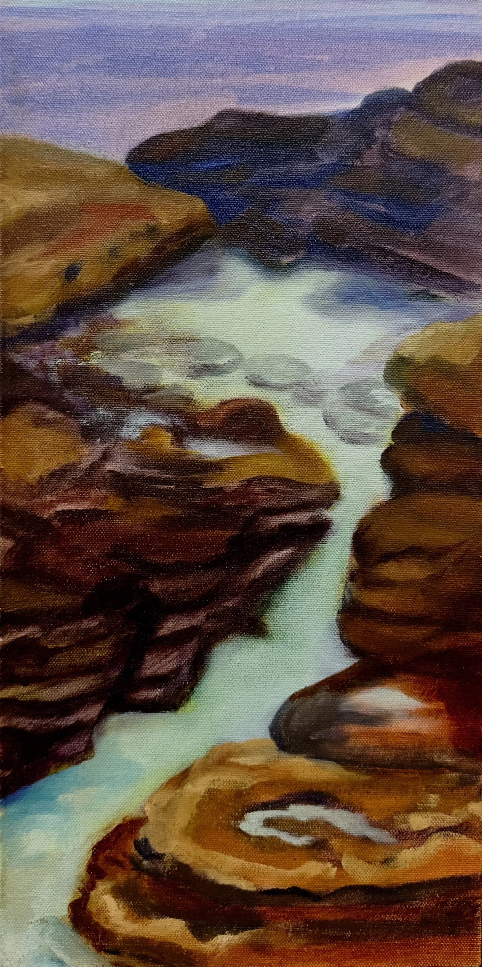 Rockpool, 2026
Oil and ink on board
20 × 41 cm
