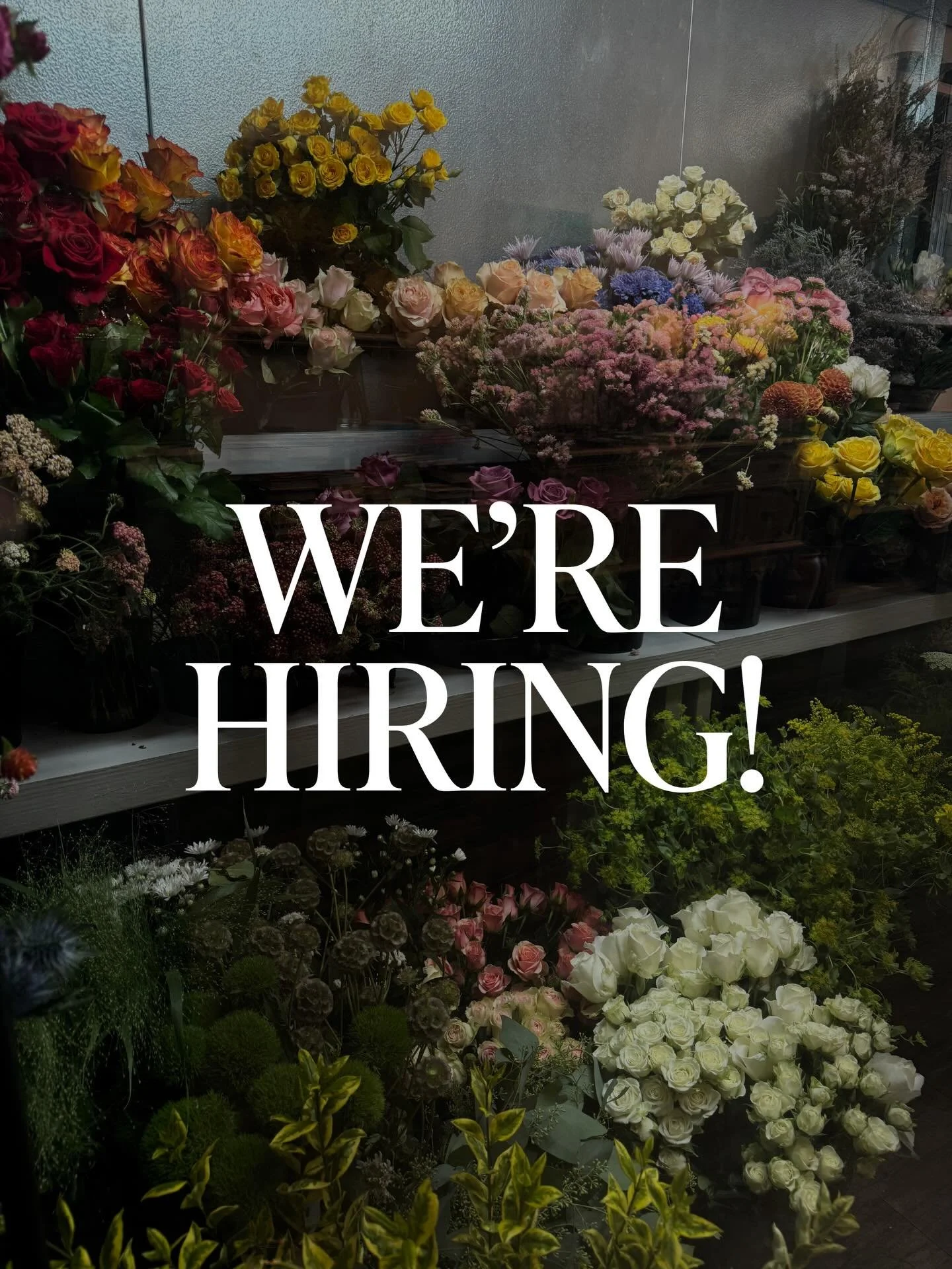 We&rsquo;re looking for a part-time Floral Assistant with floral experience!

Part-time (1 shift/week and as needed).

Please send your resume/portfolio and other questions to info@shadesofpetalsdesigns.com ***Please no DMs, emails only - thank you!!