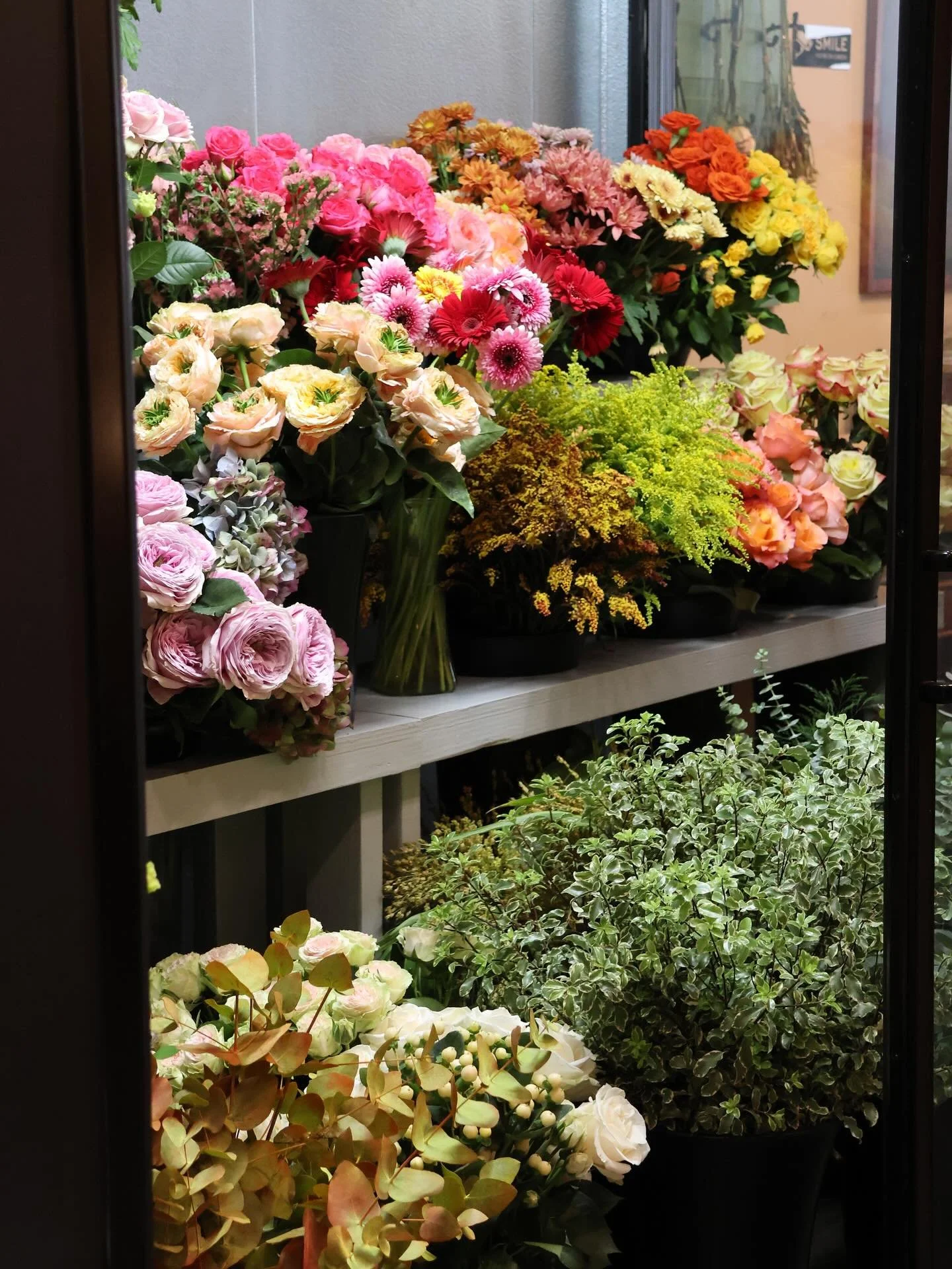 A peek inside our flower fridge

#shadesofpetals #flowers #flowerstagram