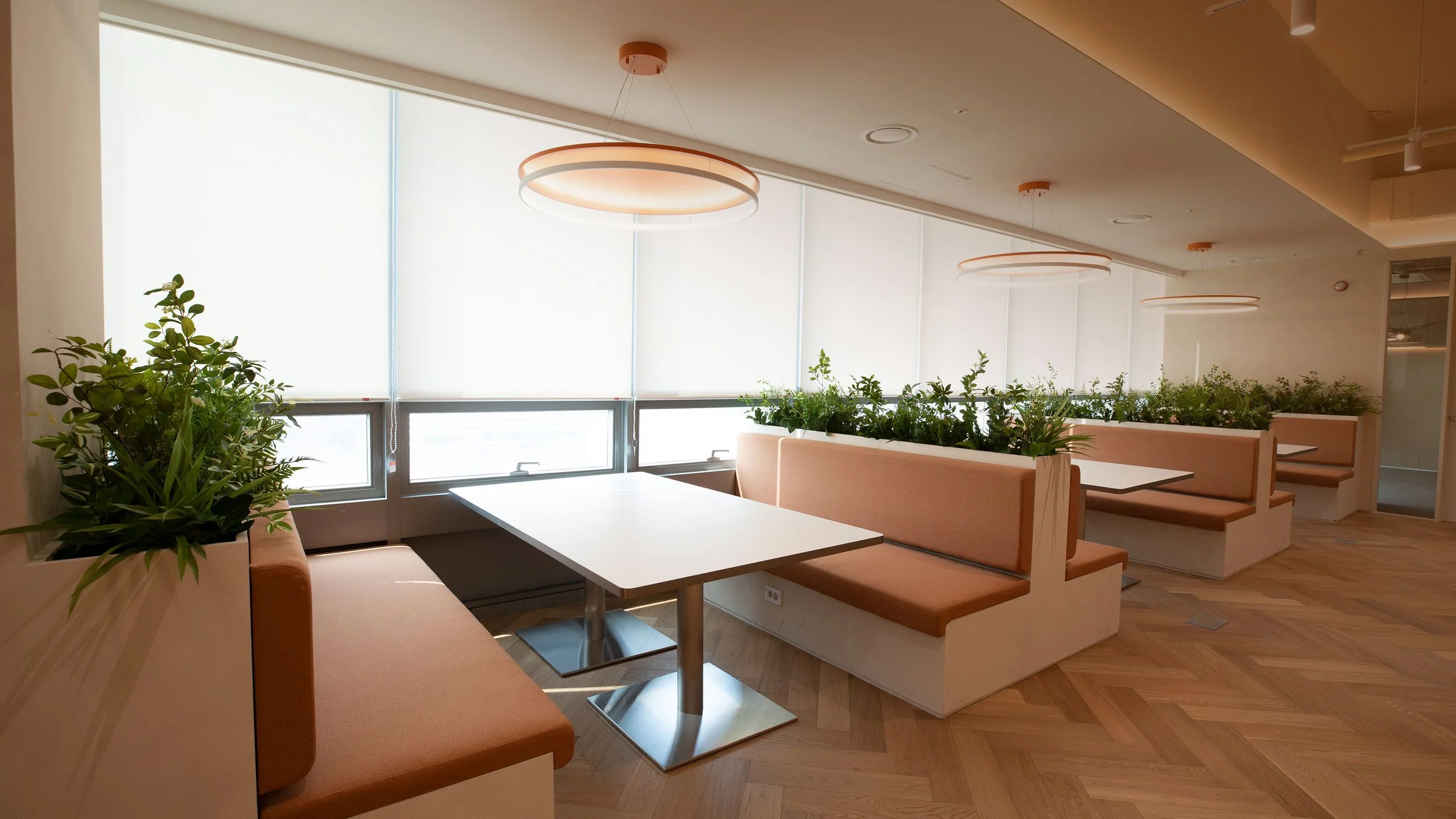 office_11.jpg