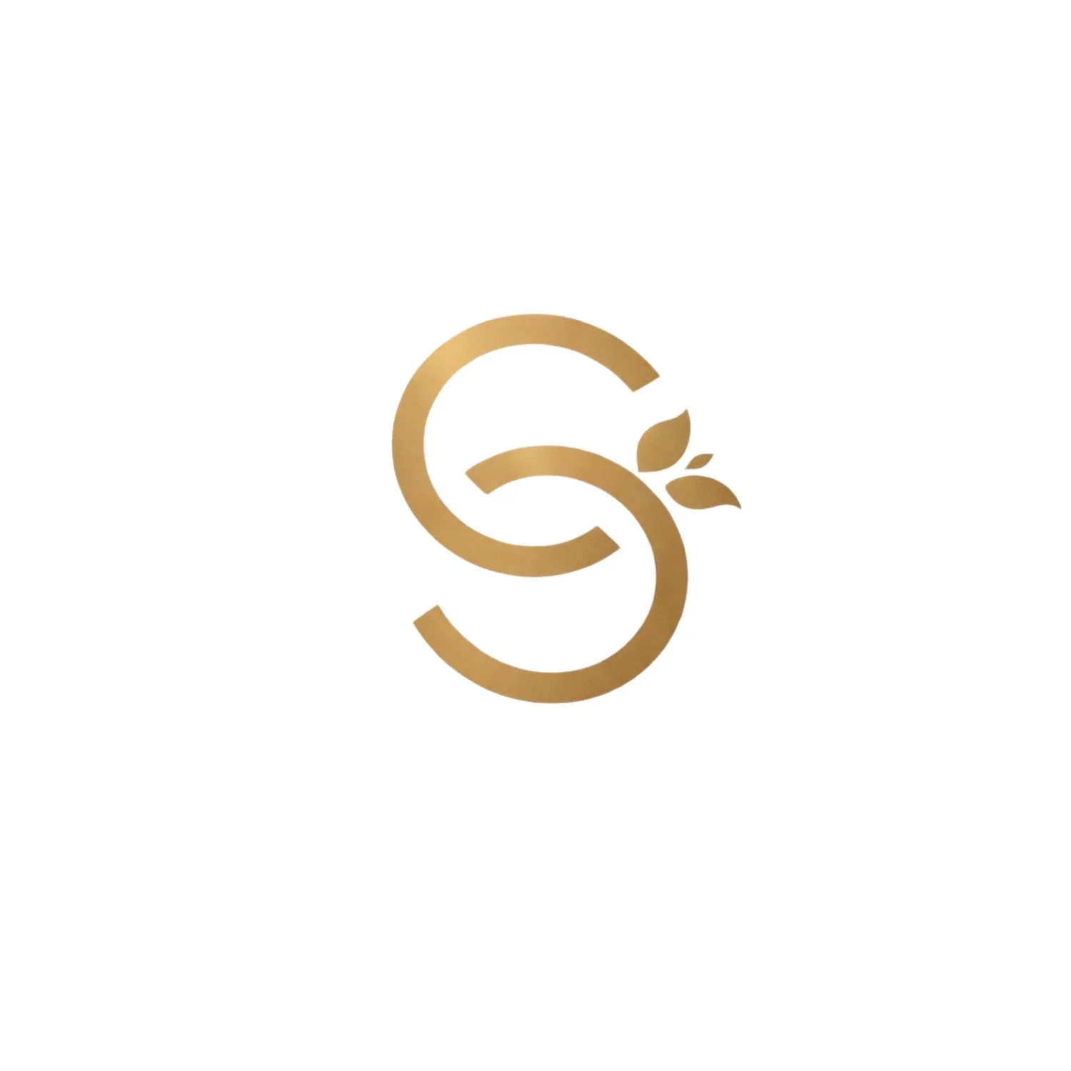 sisterseedfoundation