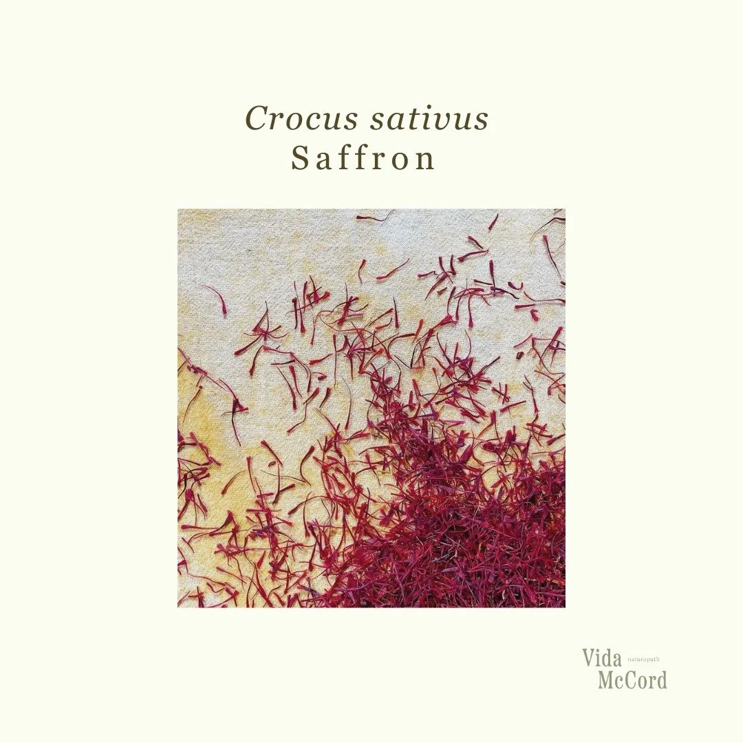 Saffron (Crocus sativus) is one of my favourite herbs to use clinically. While it offers a range of beautiful benefits &hellip; from supporting cognition, eye health, digestion, to easing PMS &hellip; saffron is best known for its profound effects on