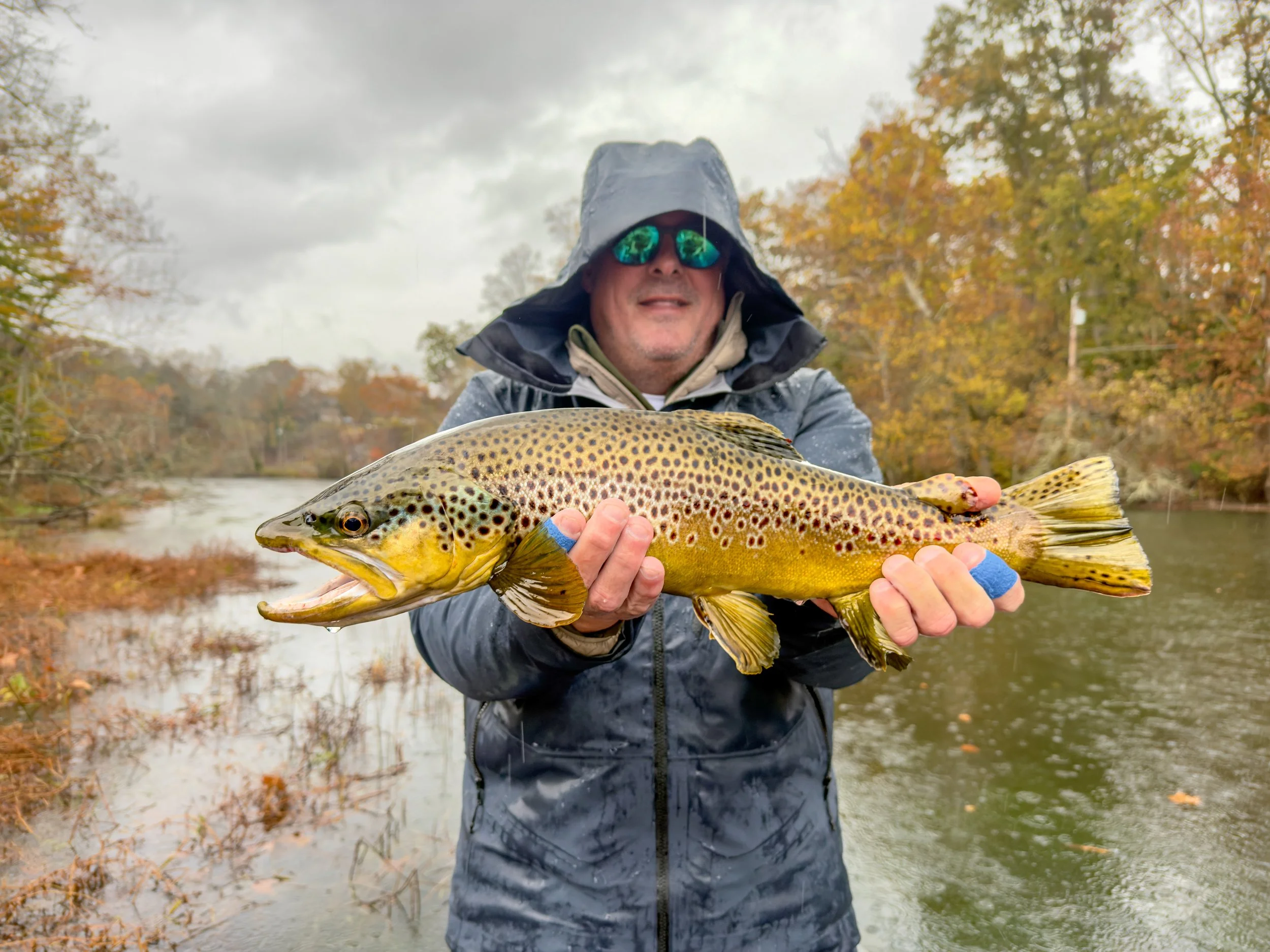 Trout Fishing - Postspawn Streamer Fishing January and February 2026