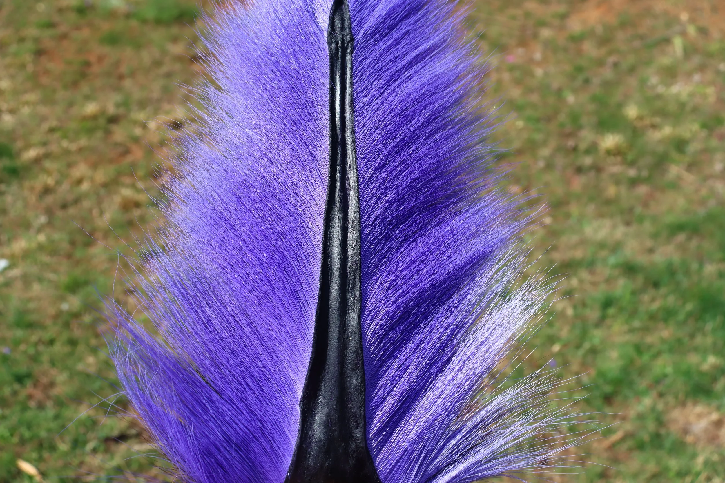 Deep & Dark (Purple)