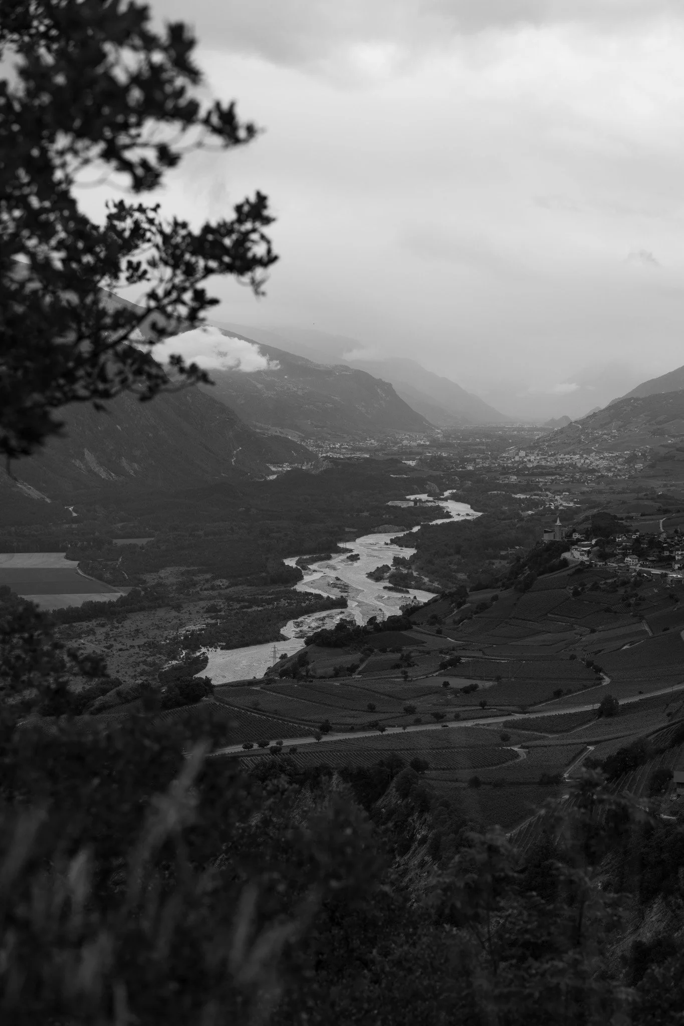 03072024-_MG_2660.jpg