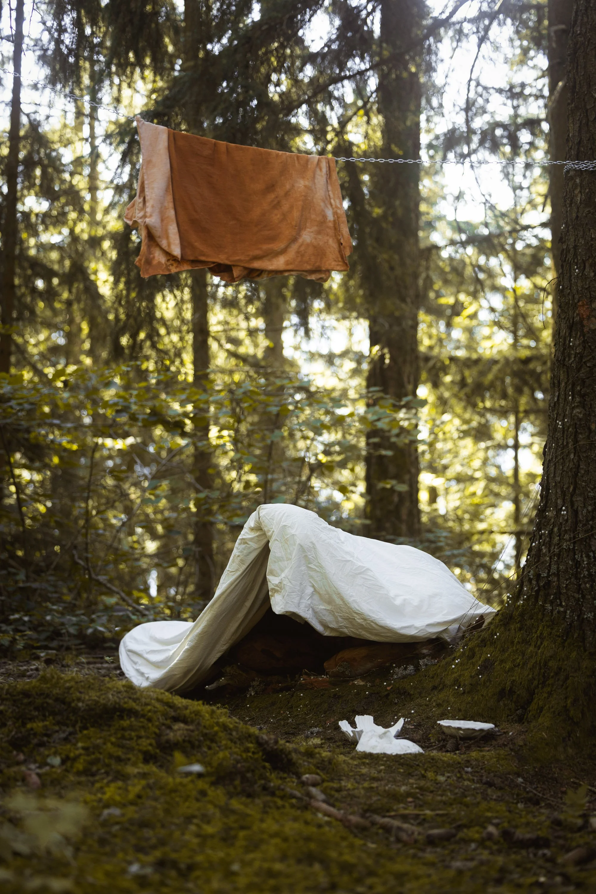 Projet Wake Up, photographe de plateau, Proxima2000taur, réal. André Lopes, 2025