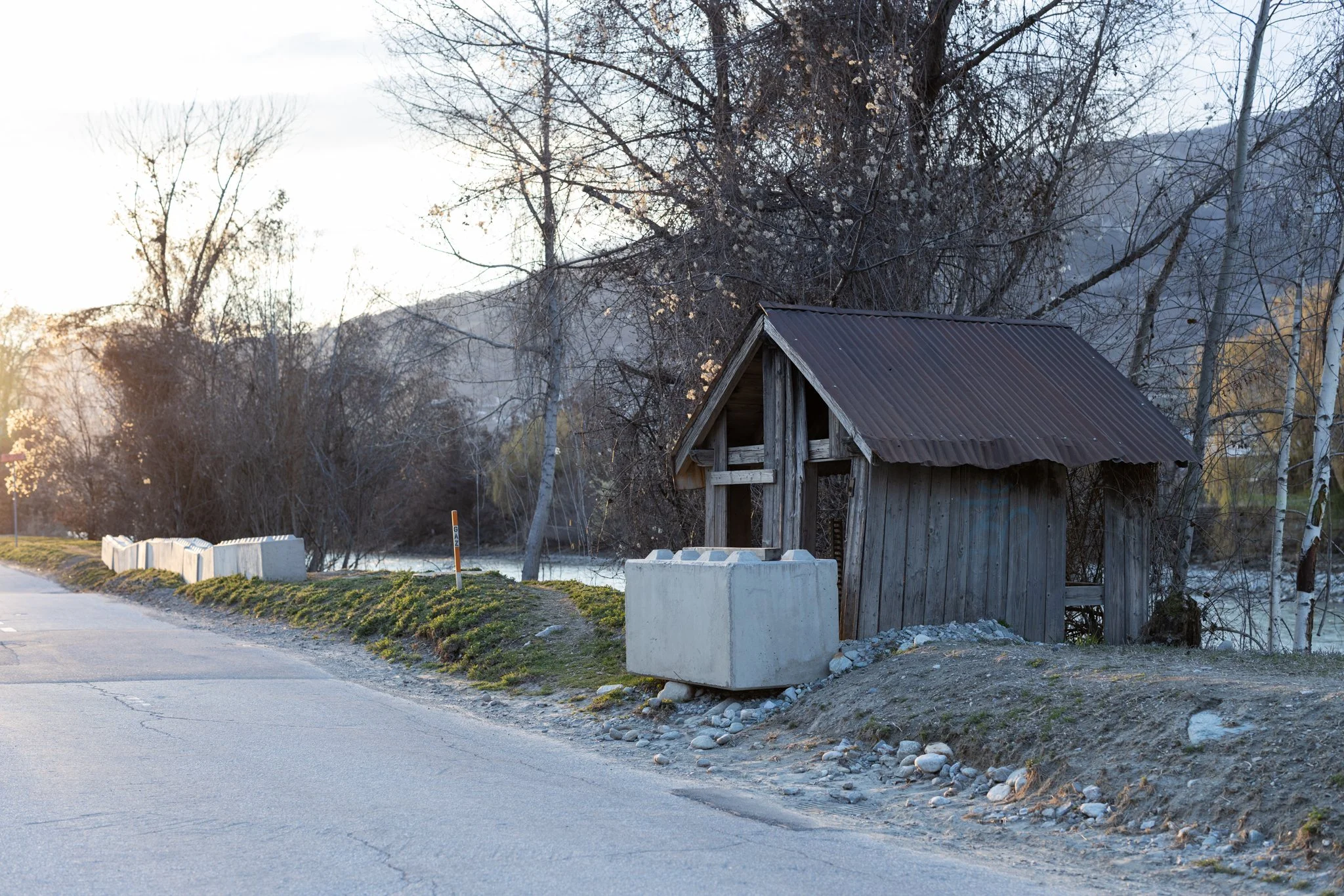 _MV_8100.jpg