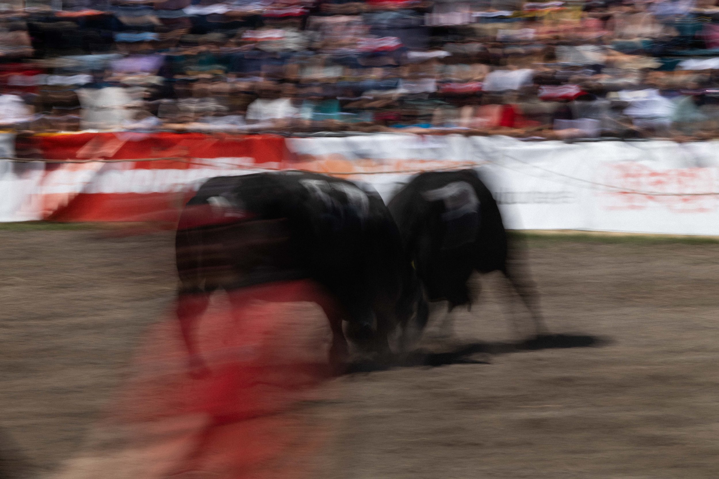 FinaleReines_2025_YannickAbbruzzese-3054.jpg