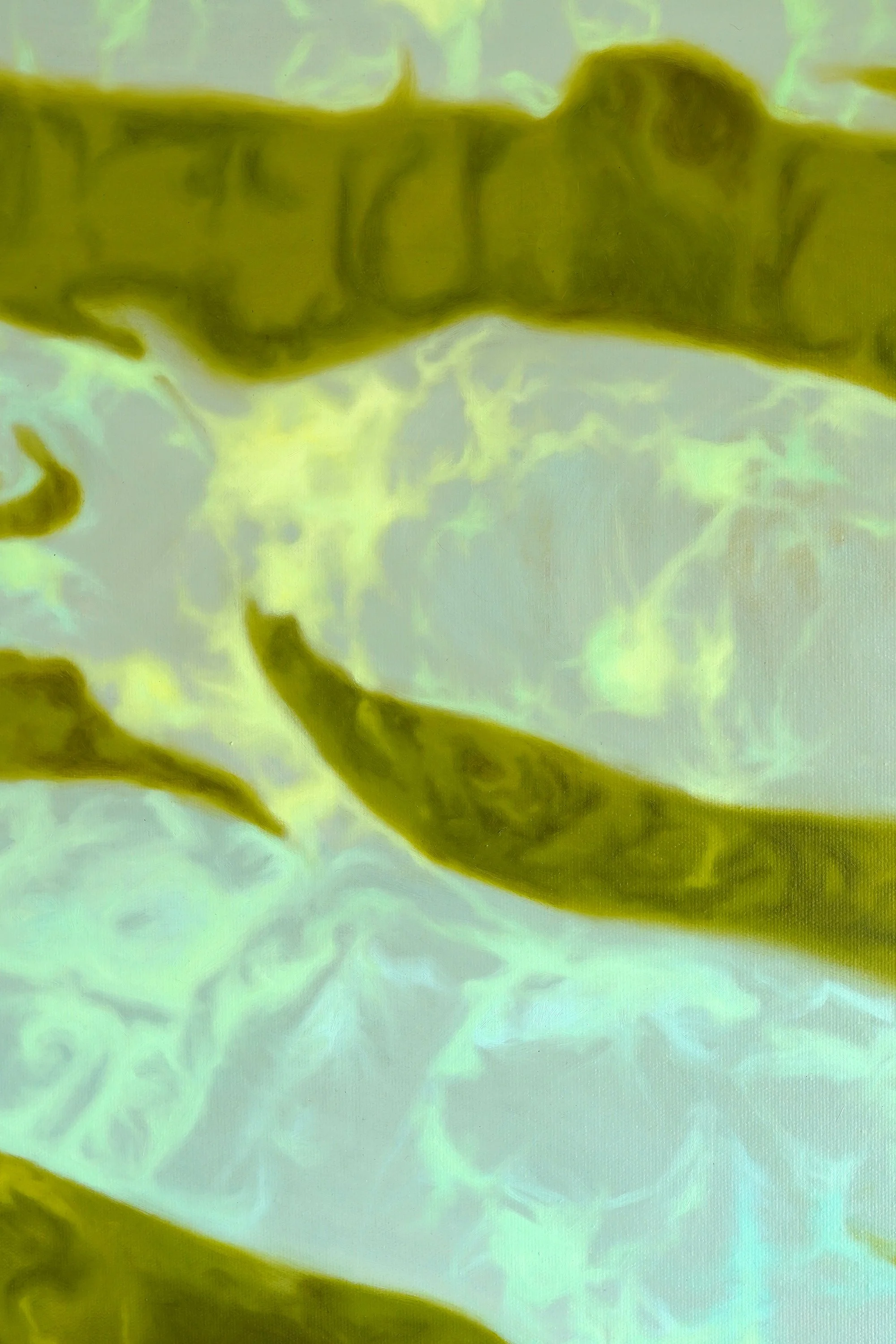 The Left Hand of Darkness, 2026, oil on canvas, 100 x 70cm, Kanny Yeung_detail.jpg